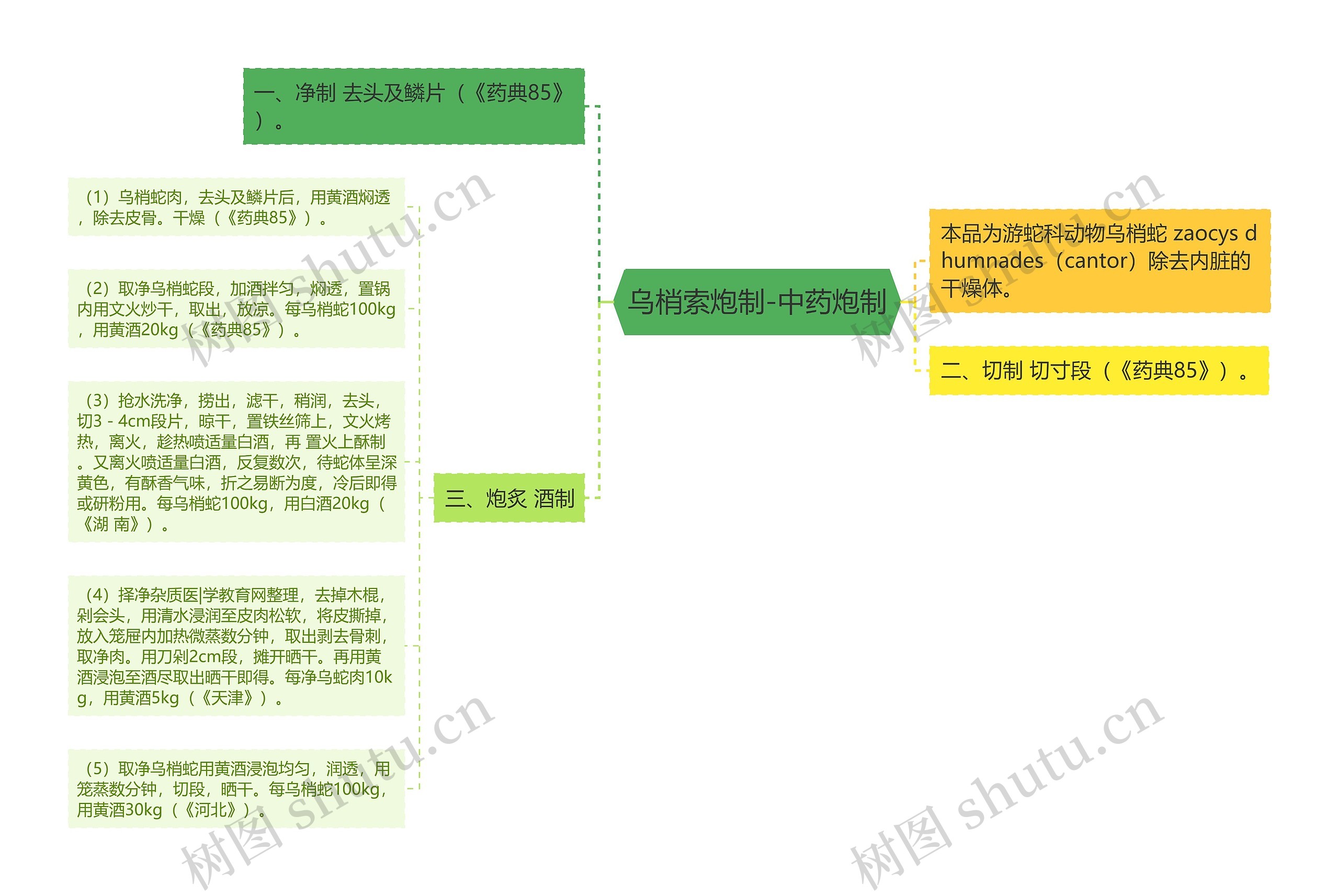 乌梢索炮制-中药炮制思维导图