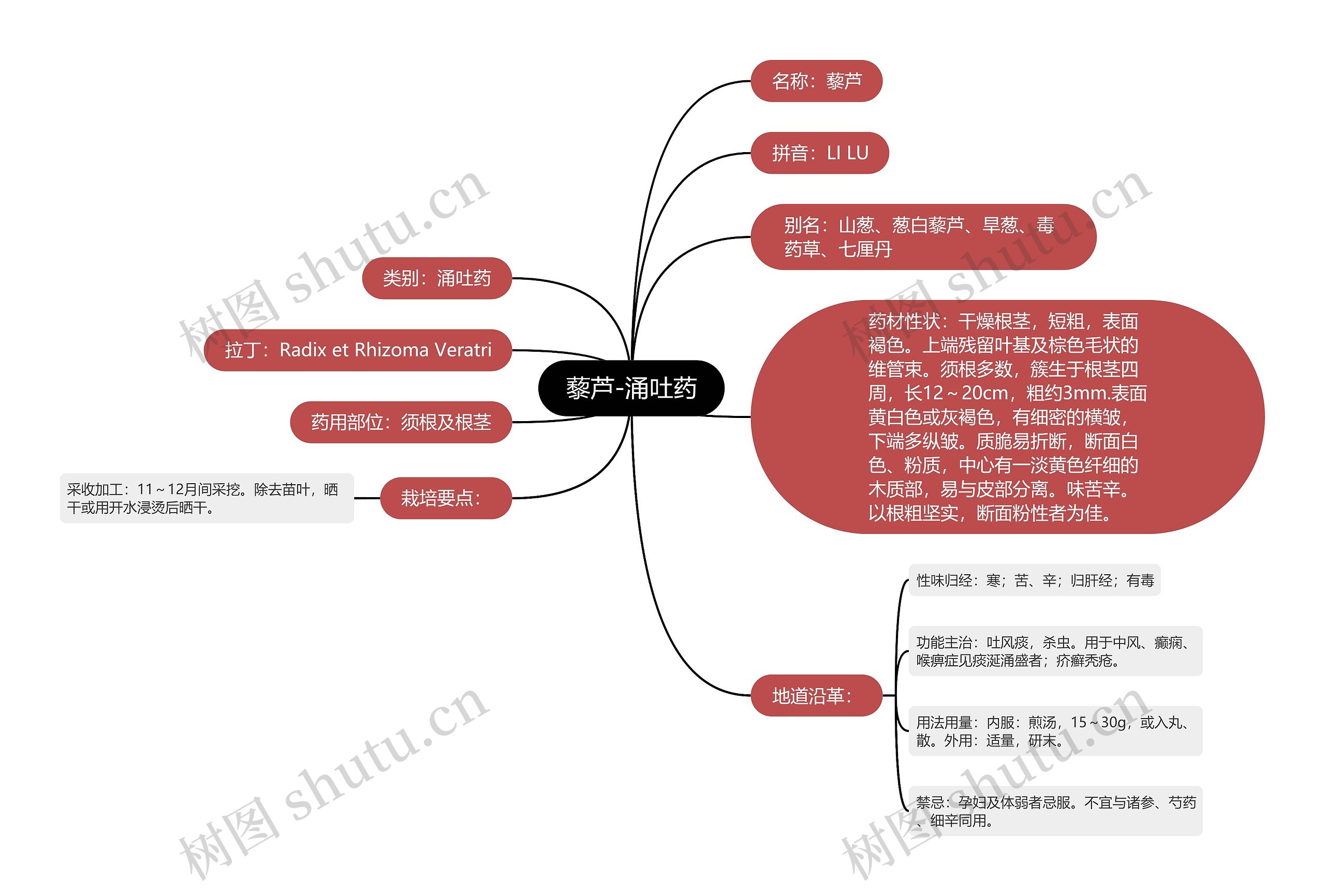 藜芦-涌吐药思维导图