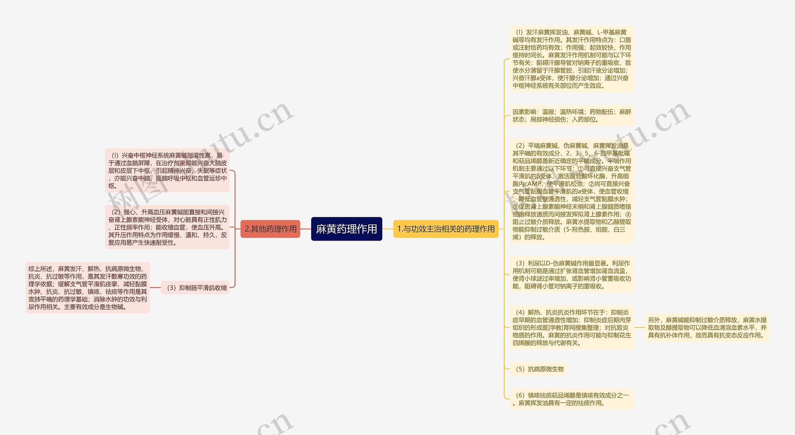 麻黄药理作用思维导图