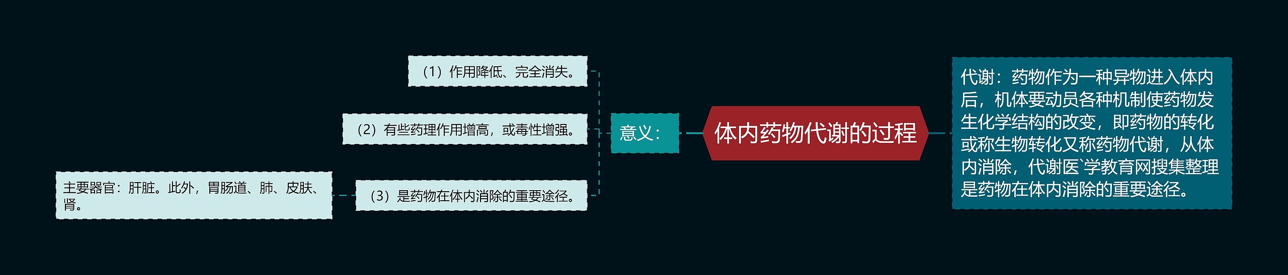 体内药物代谢的过程思维导图