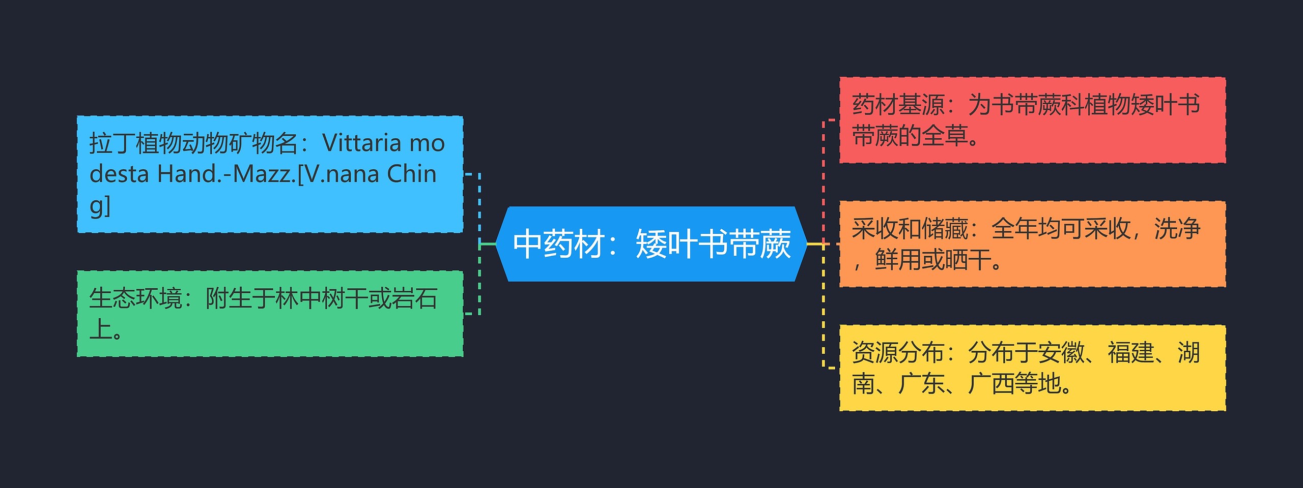 中药材：矮叶书带蕨思维导图