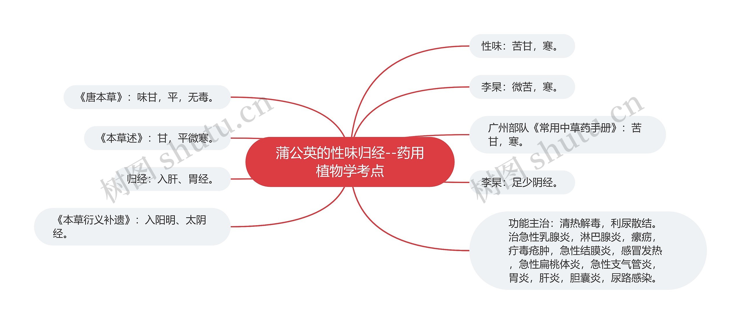 蒲公英的性味归经--药用植物学考点思维导图