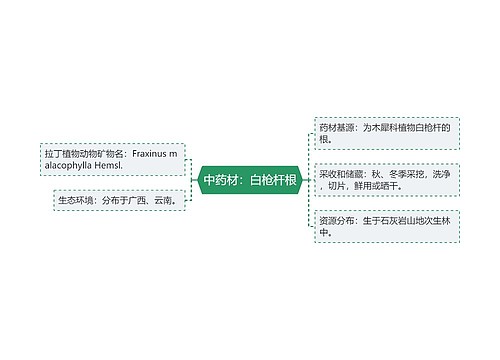 中药材：白枪杆根