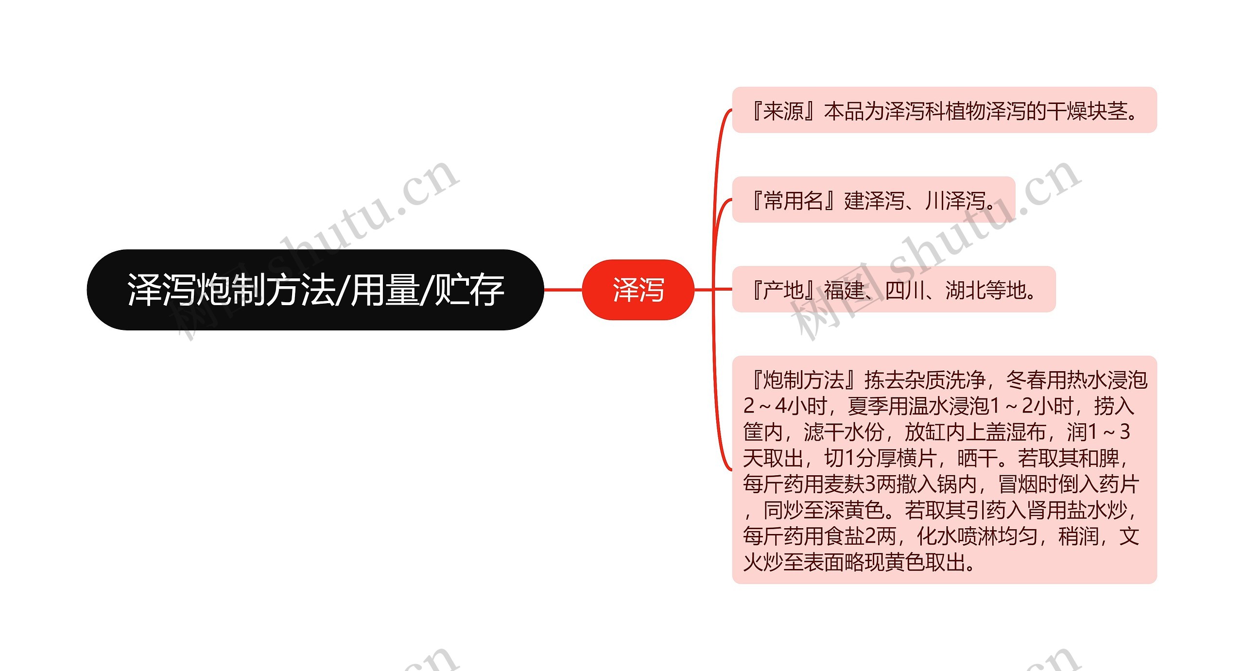 泽泻炮制方法/用量/贮存思维导图