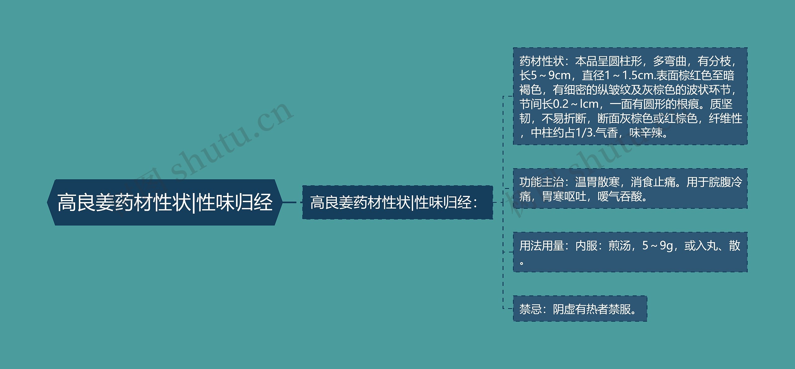 高良姜药材性状|性味归经 高良姜药材性状|性味归经
