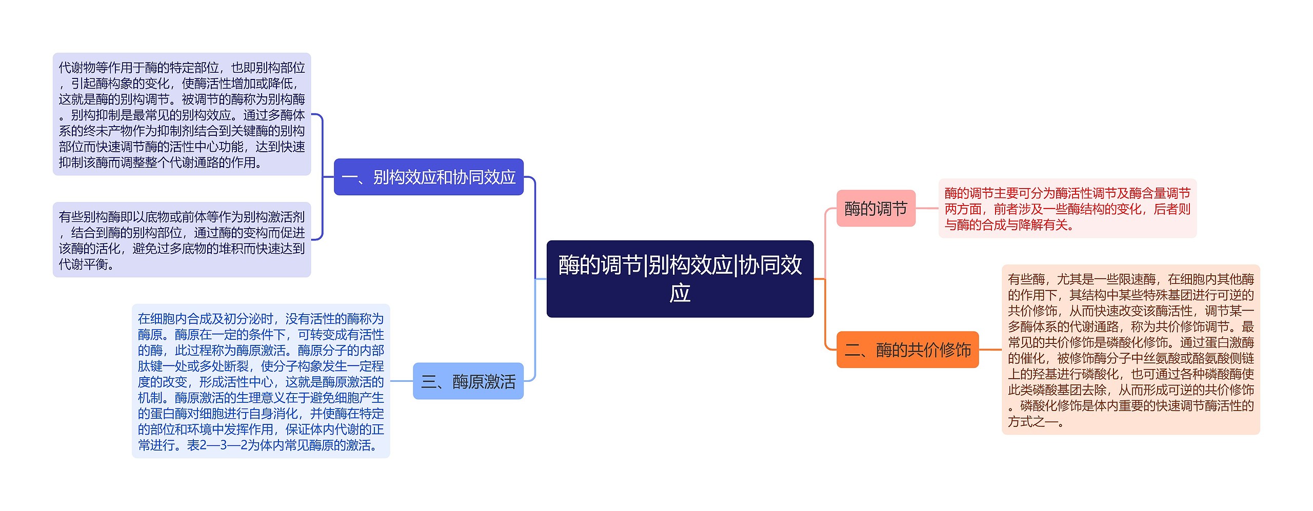 酶的调节|别构效应|协同效应思维导图