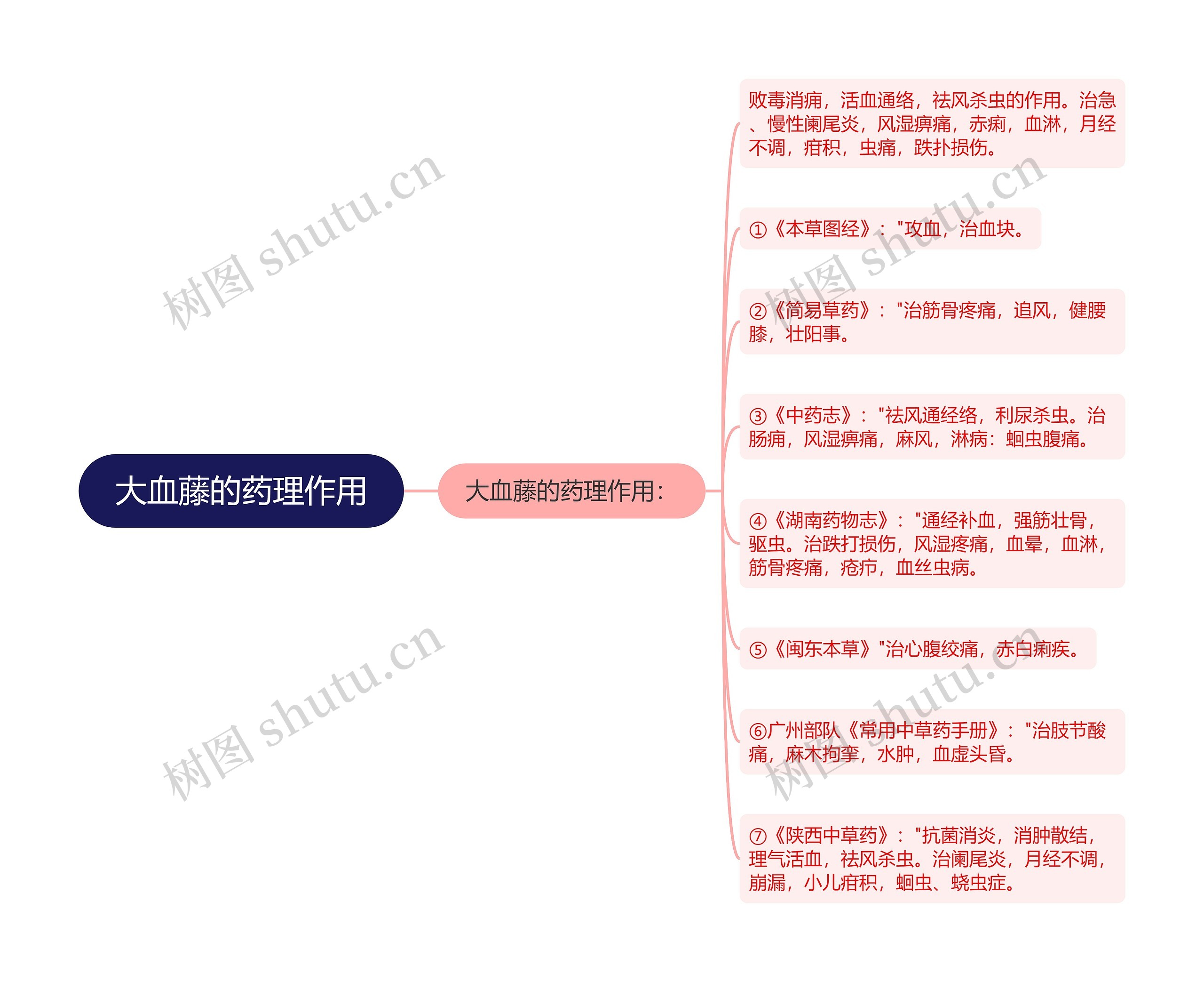 大血藤的药理作用