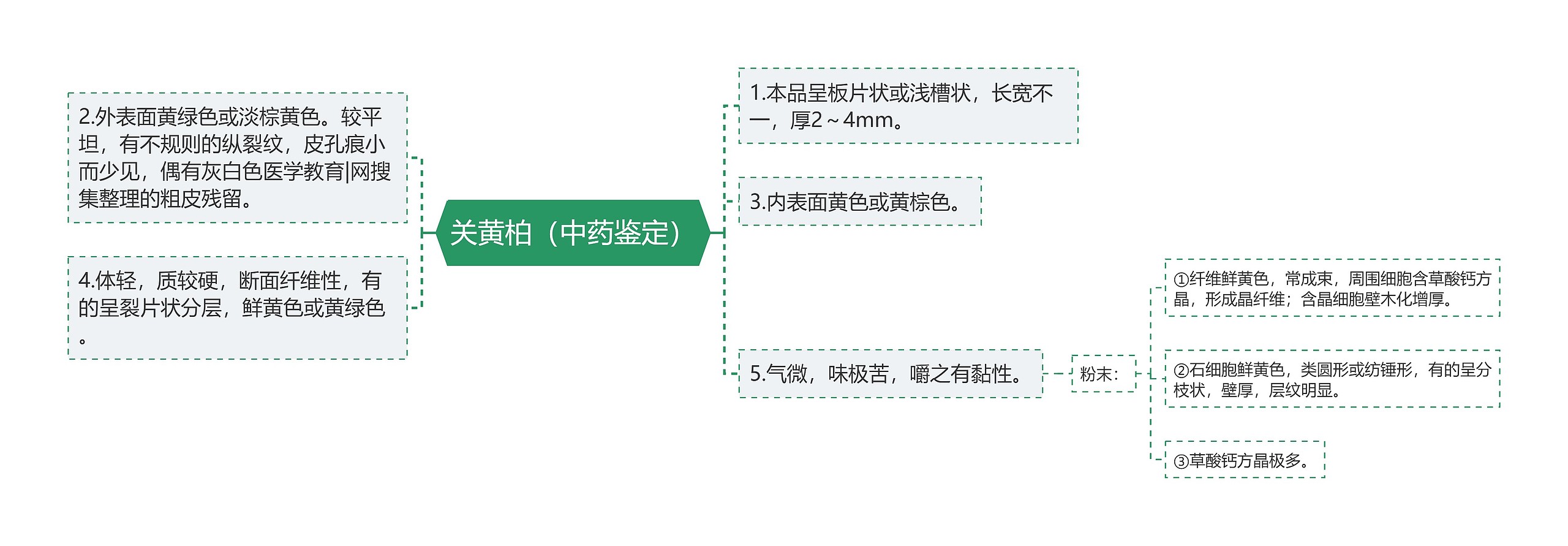 关黄柏（中药鉴定）思维导图