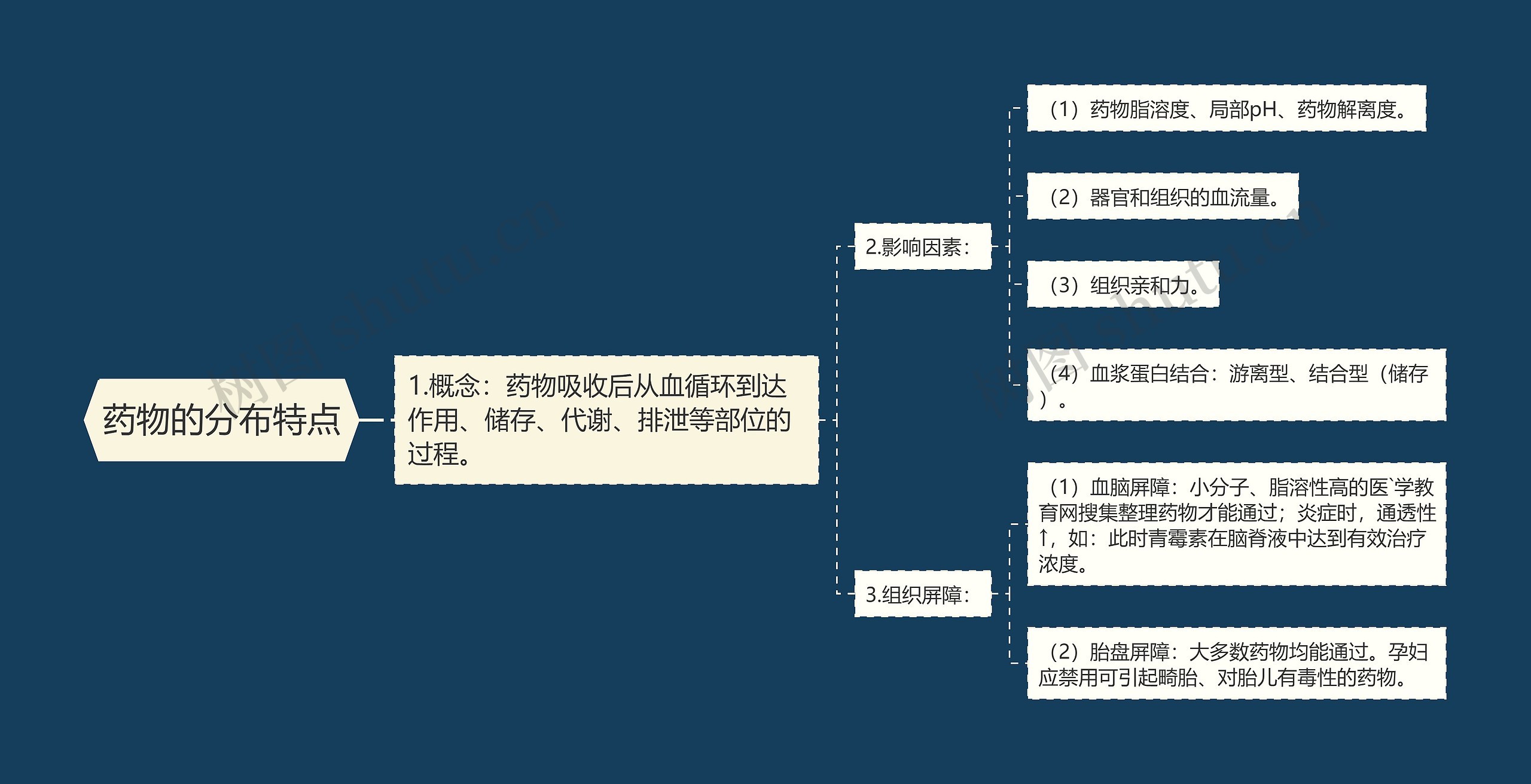 药物的分布特点思维导图