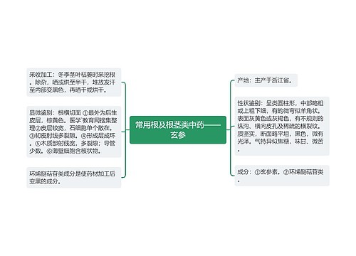 常用根及根茎类中药——玄参