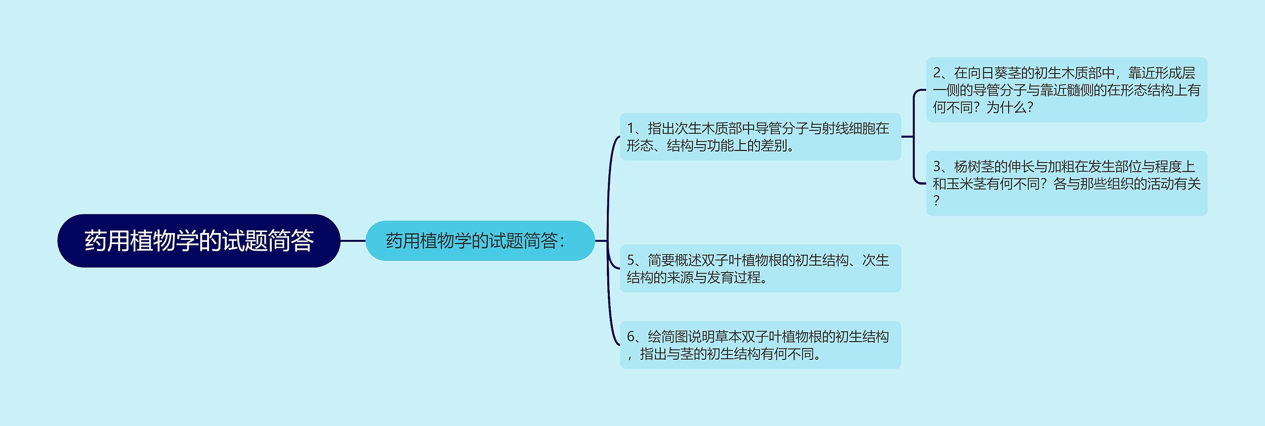 药用植物学的试题简答思维导图