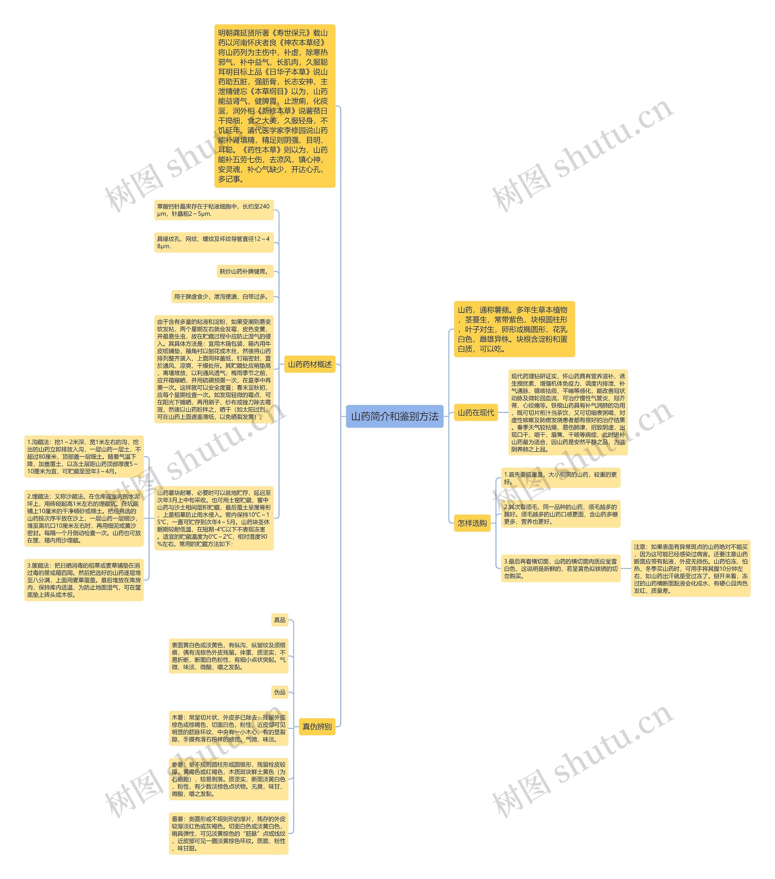 山药简介和鉴别方法思维导图