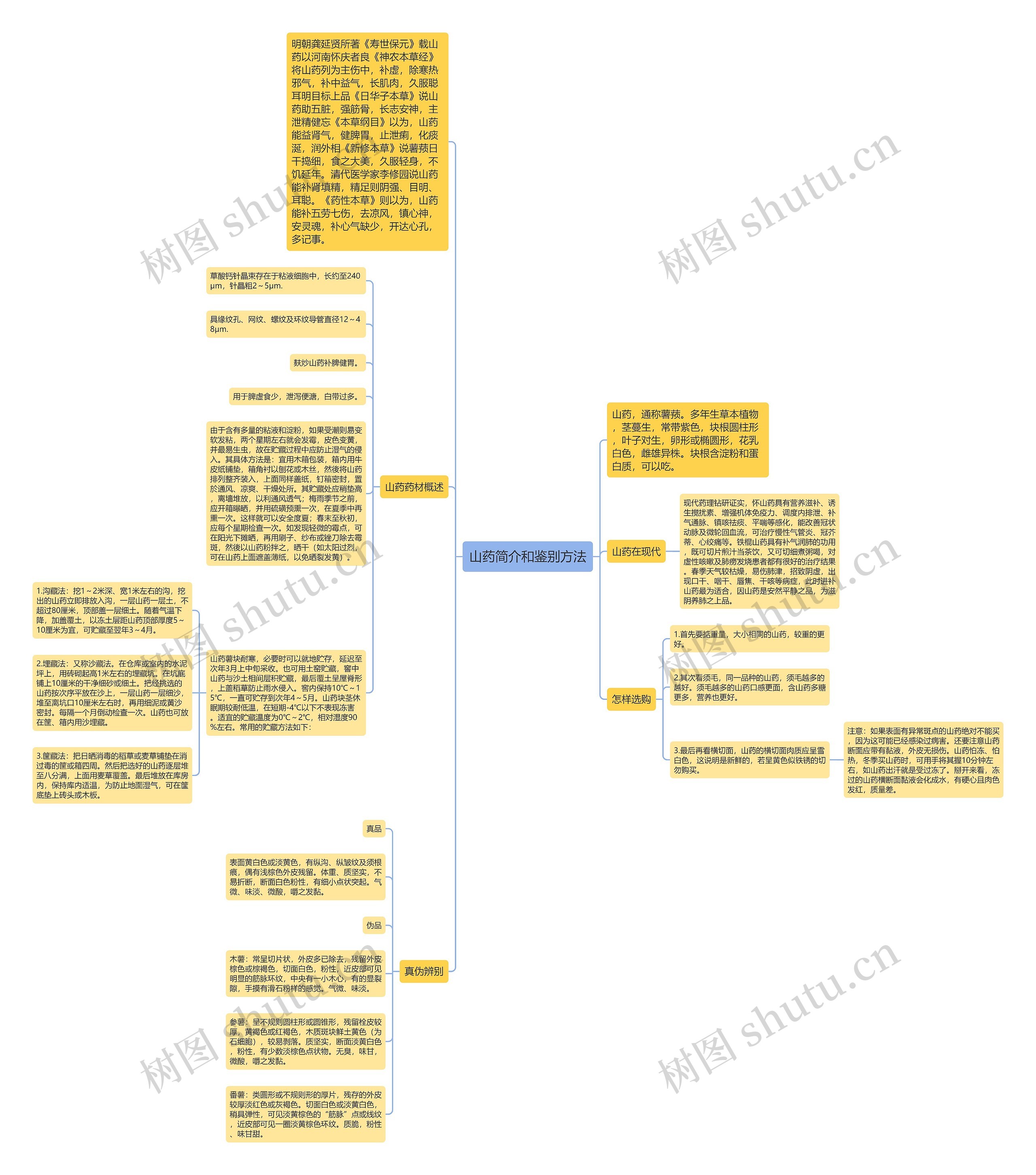 山药简介和鉴别方法思维导图高清图 山药简介和鉴别方法思维导图