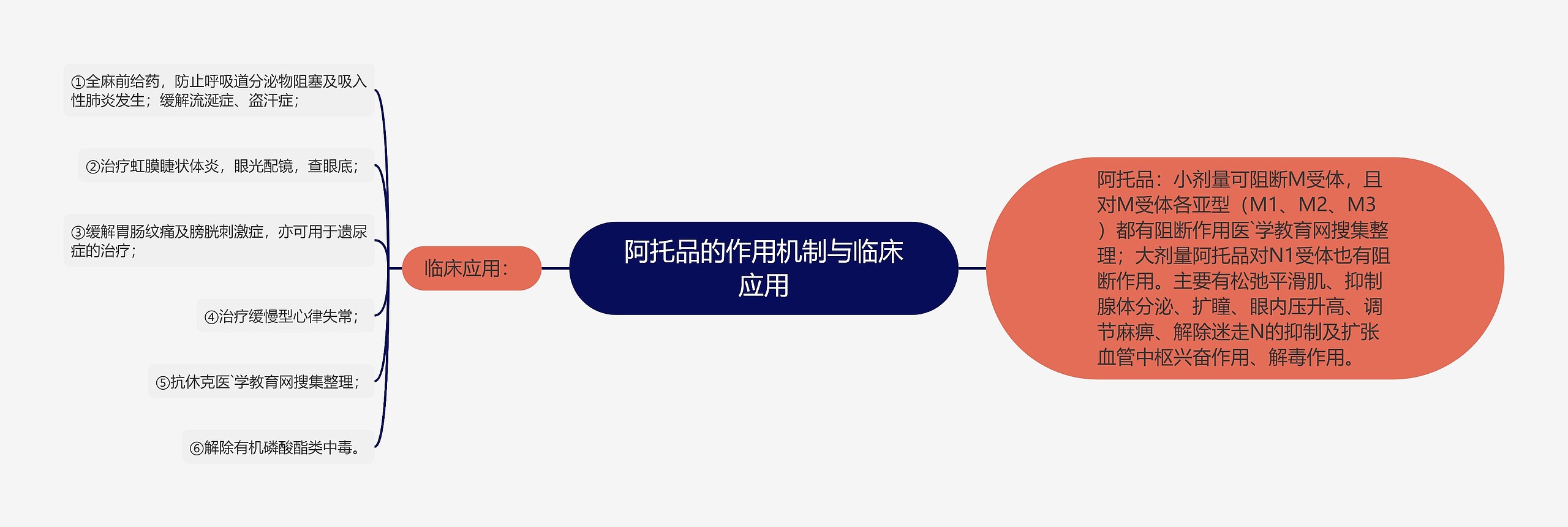 阿托品的作用机制与临床应用