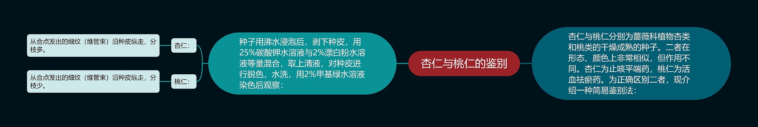 杏仁与桃仁的鉴别思维导图