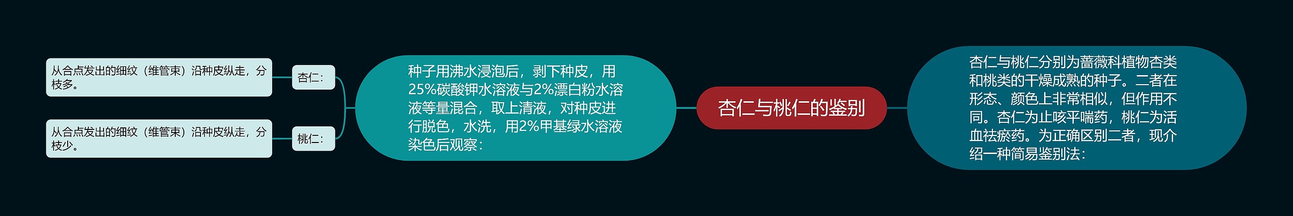 杏仁与桃仁的鉴别 杏仁与桃仁的鉴别