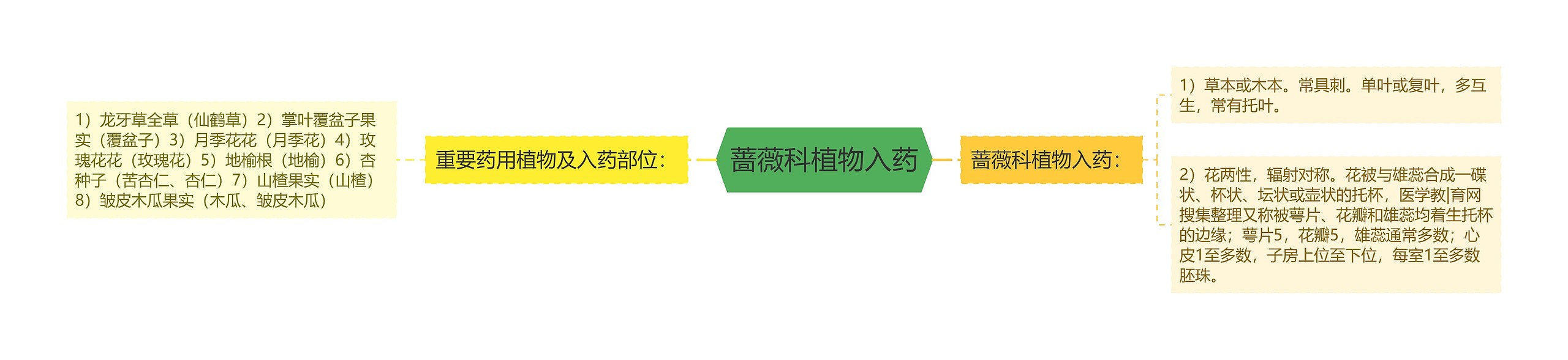 蔷薇科植物入药 蔷薇科植物入药