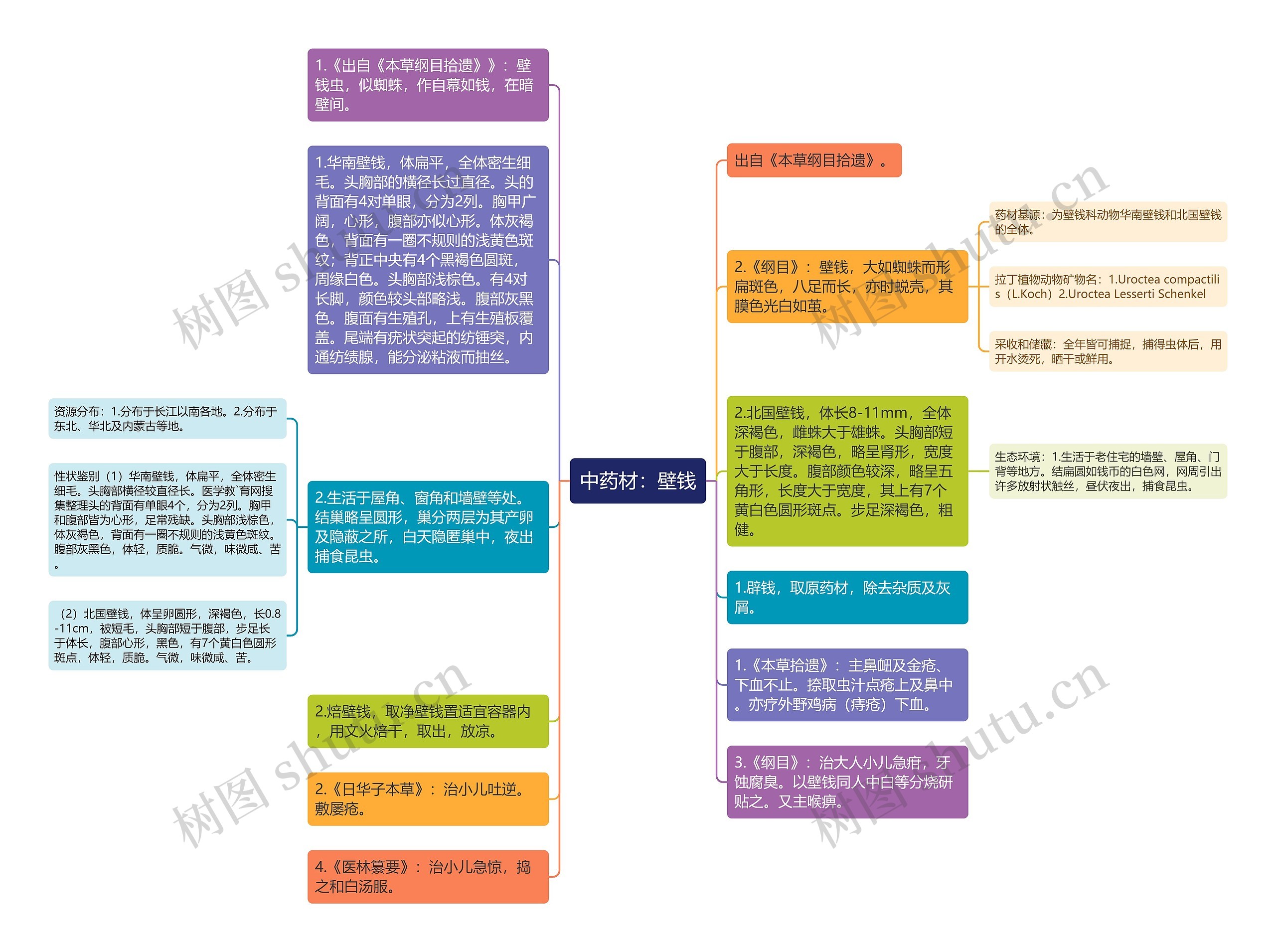 中药材：壁钱思维导图