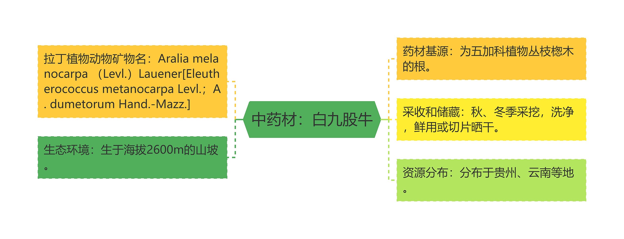 中药材：白九股牛思维导图