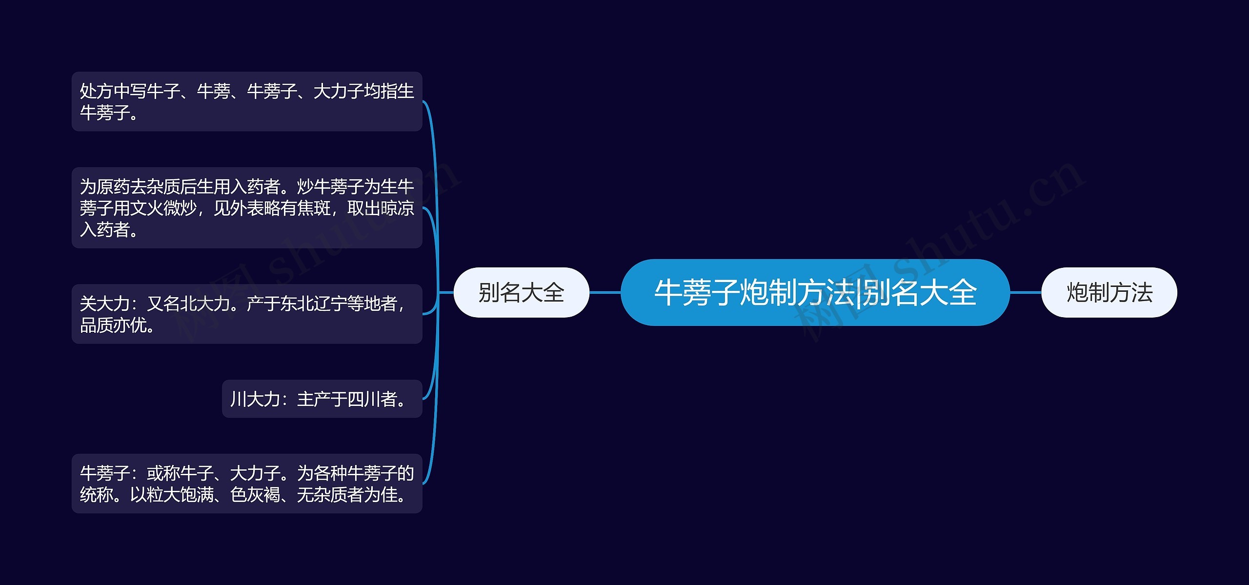 牛蒡子炮制方法|别名大全思维导图