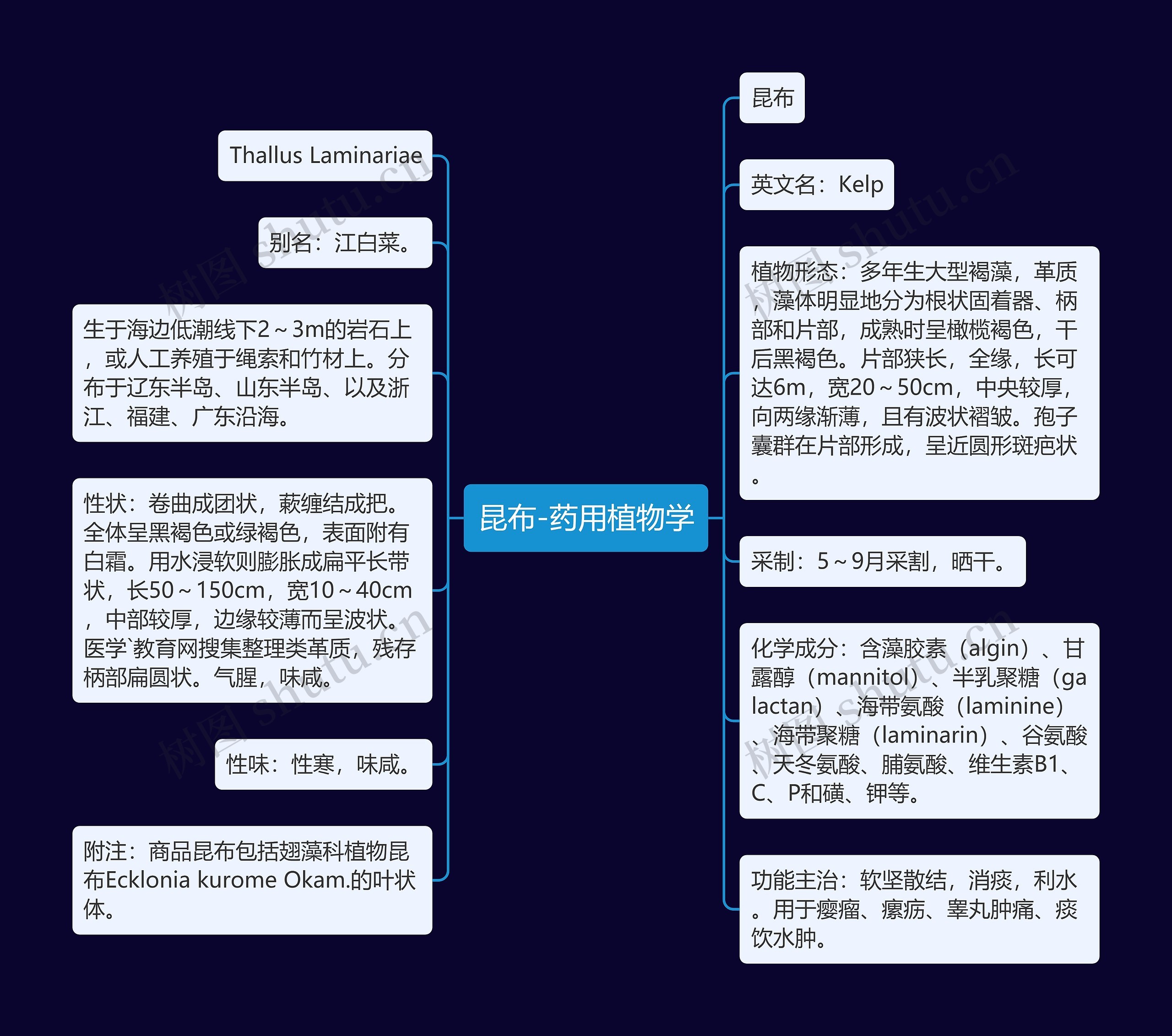 昆布-药用植物学 昆布-药用植物学