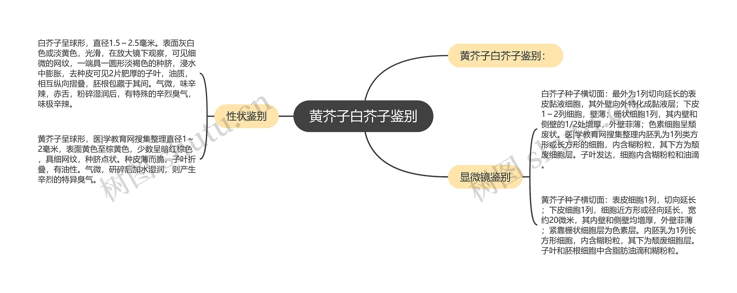 黄芥子白芥子鉴别思维导图