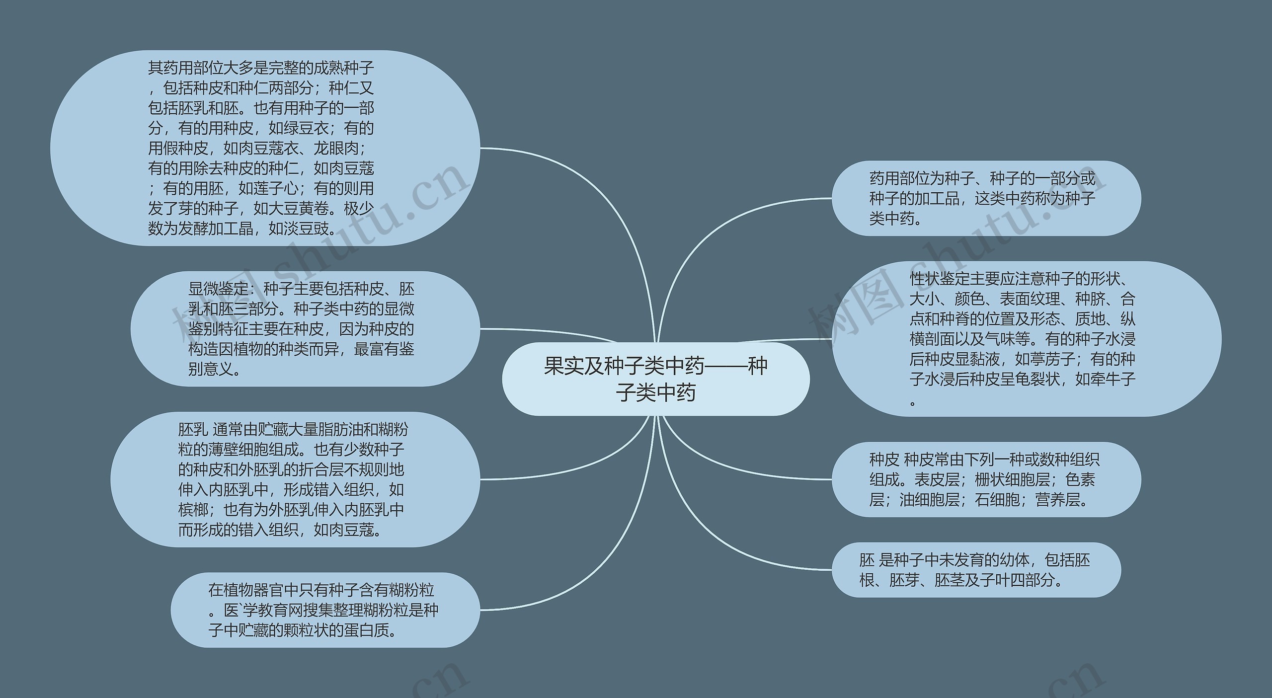 果实及种子类中药——种子类中药