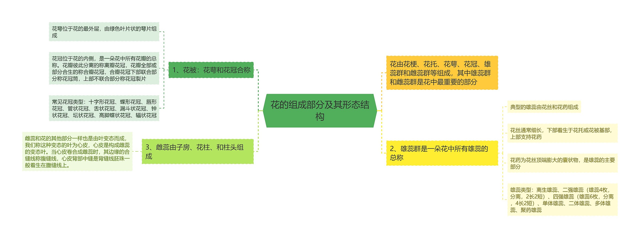 花的组成部分及其形态结构思维导图