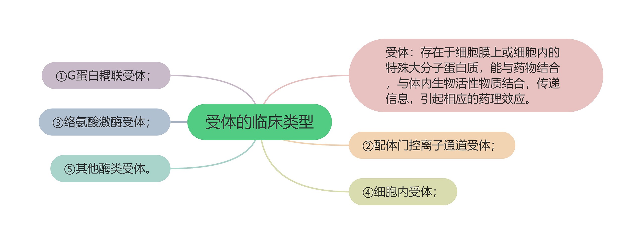 受体的临床类型思维导图