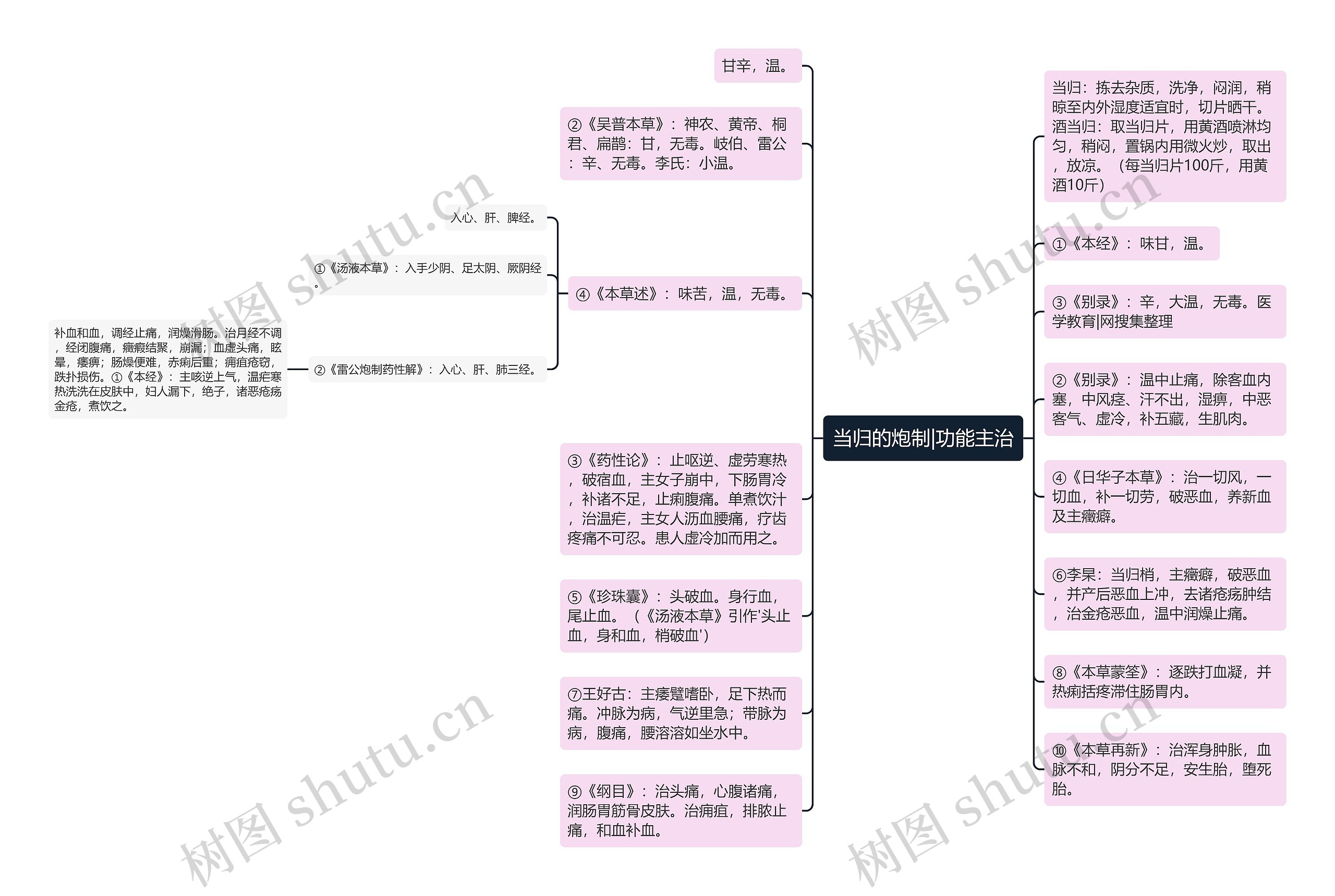 当归的炮制|功能主治思维导图