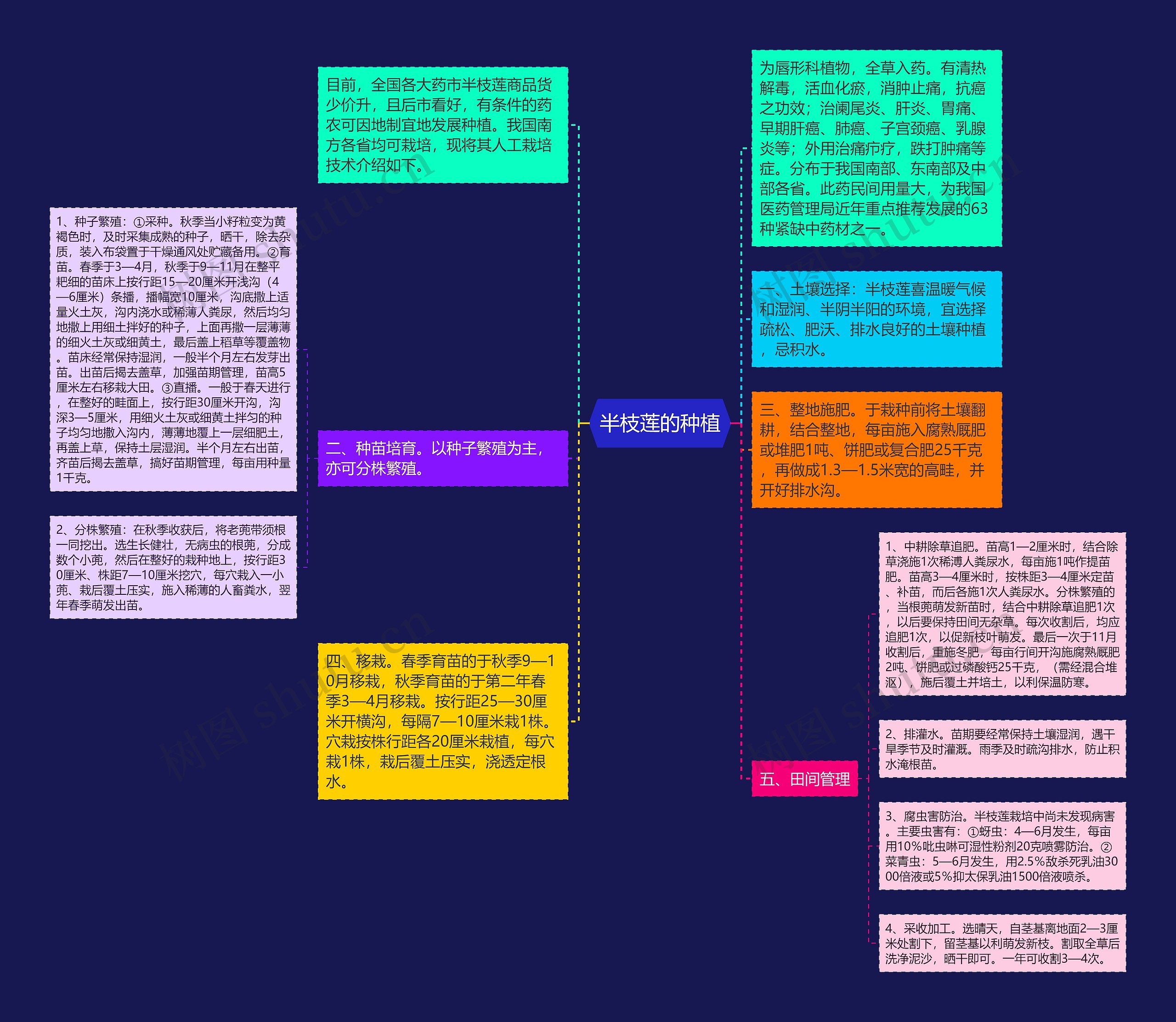 半枝莲的种植思维导图
