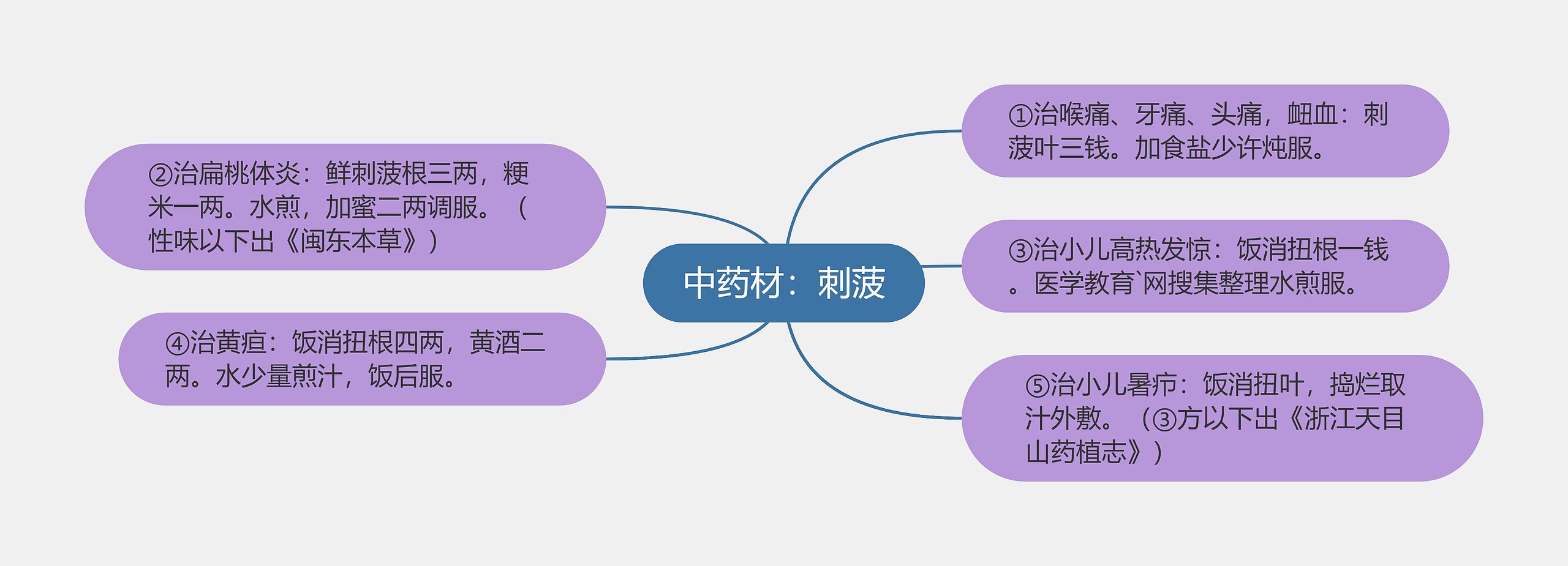 中药材：刺菠思维导图