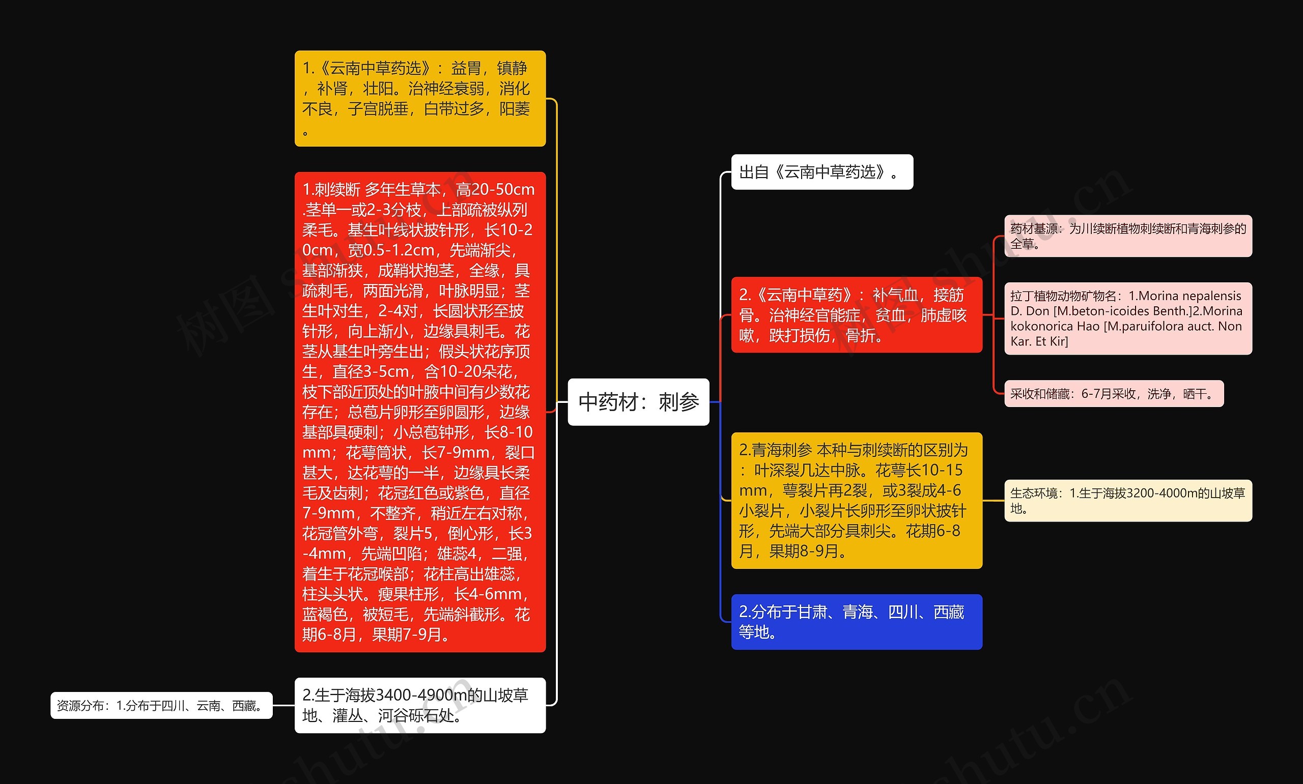 中药材：刺参思维导图