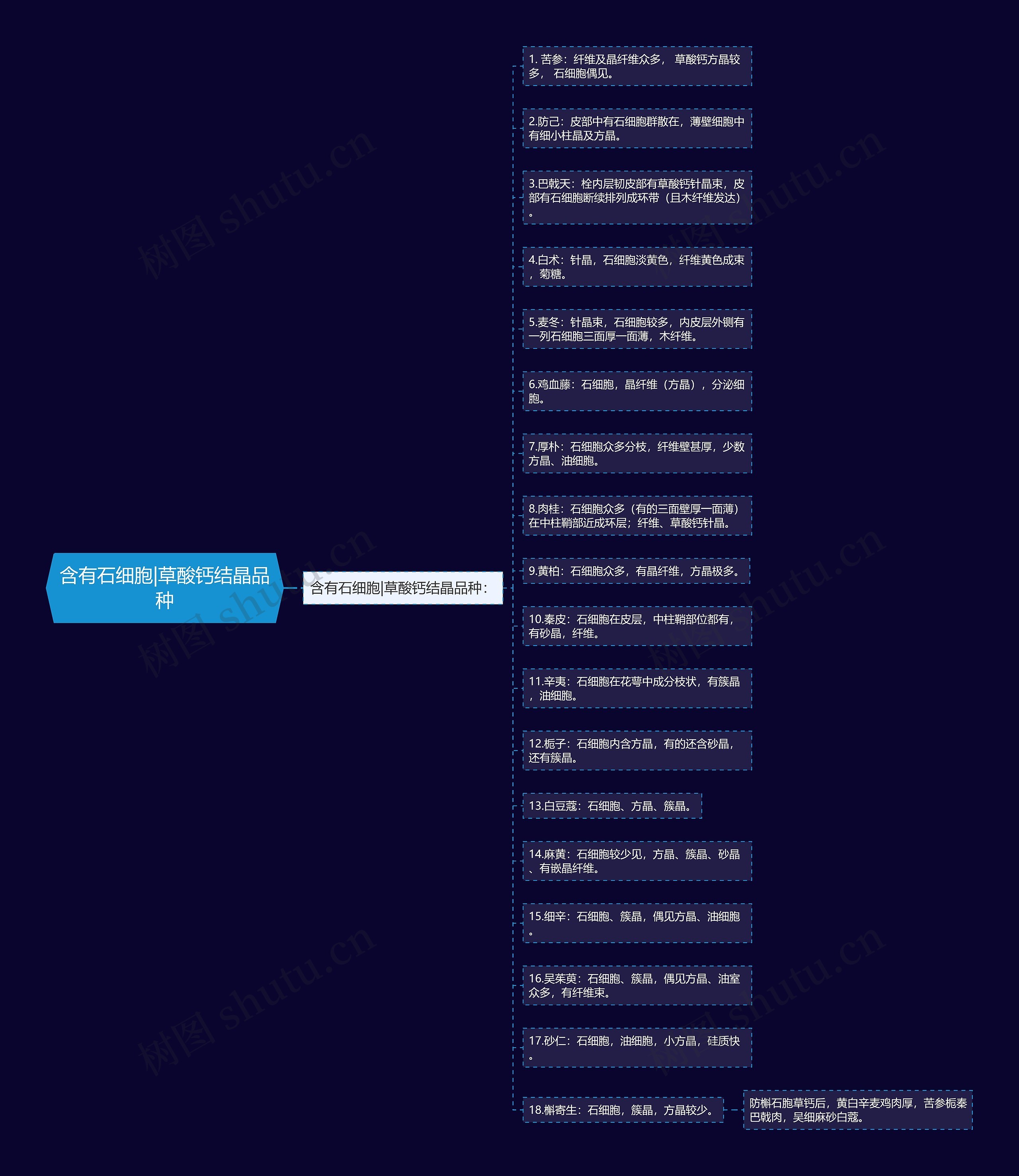 含有石细胞|草酸钙结晶品种 含有石细胞|草酸钙结晶品种