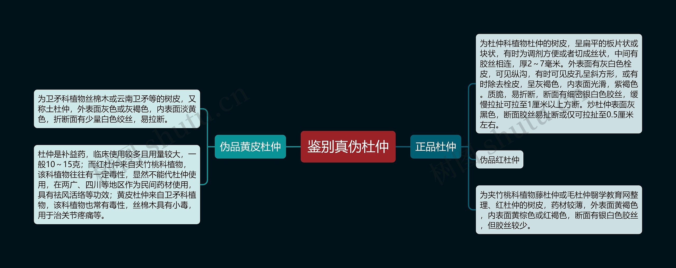 鉴别真伪杜仲思维导图