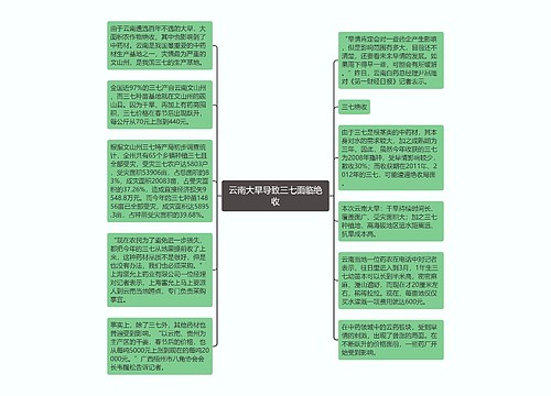 云南大旱导致三七面临绝收