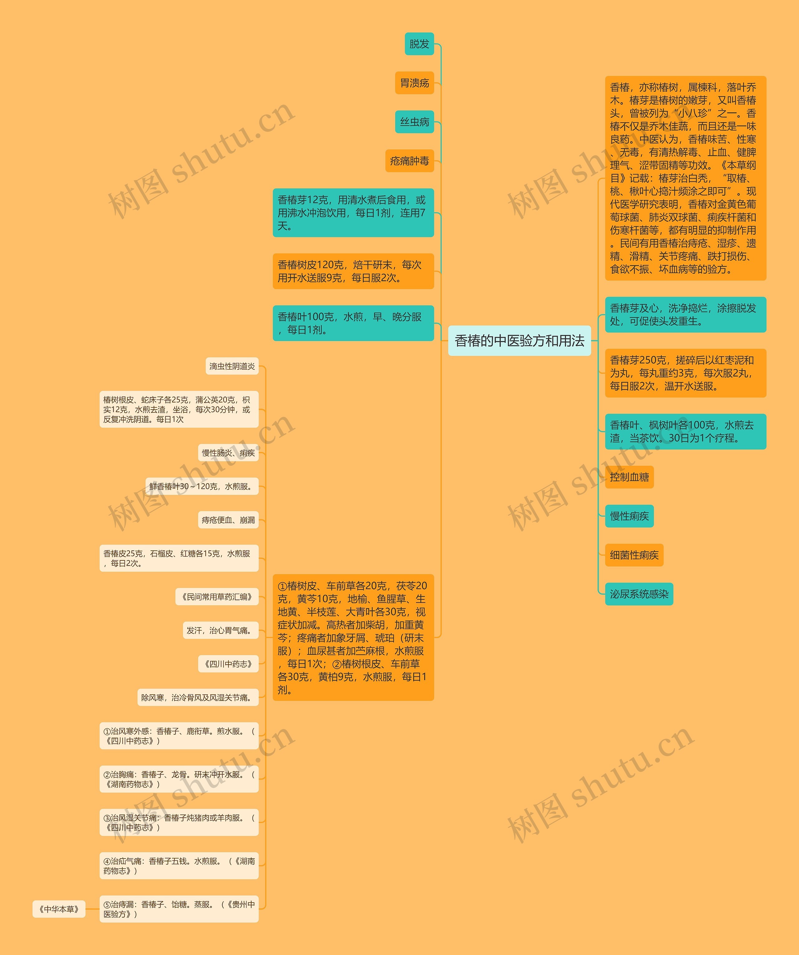 香椿的中医验方和用法思维导图