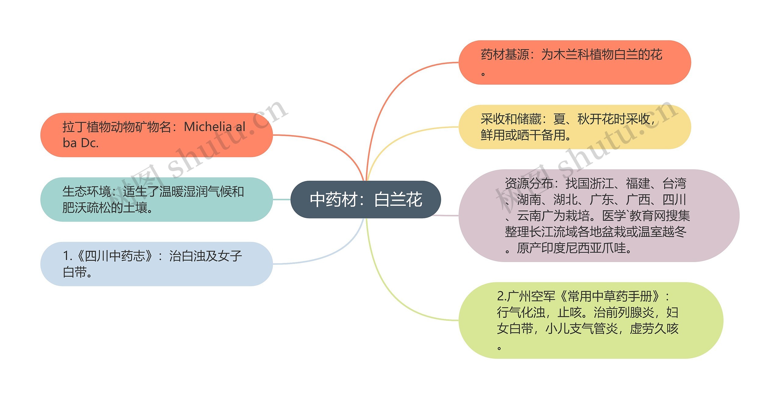 中药材：白兰花思维导图