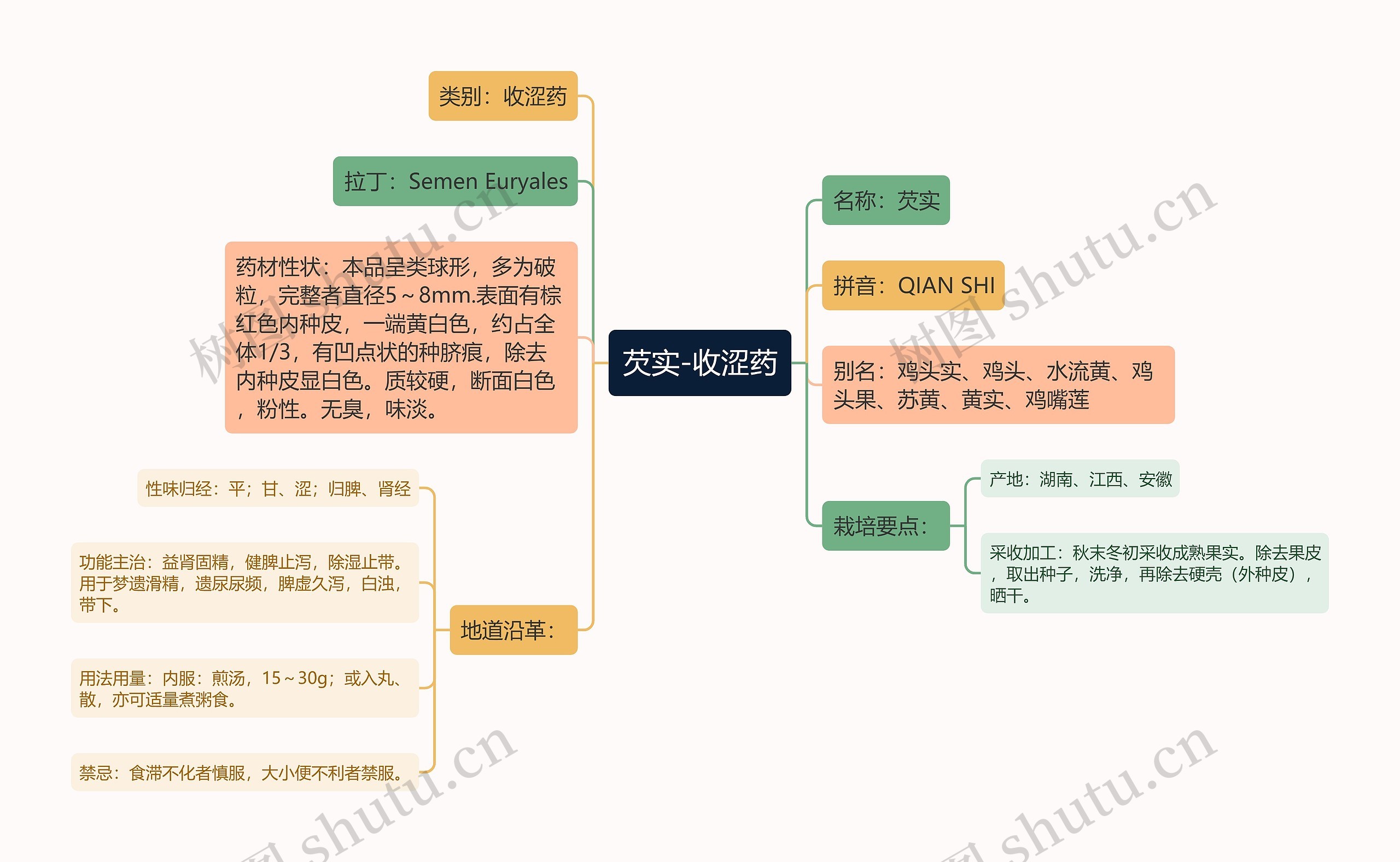 芡实-收涩药思维导图