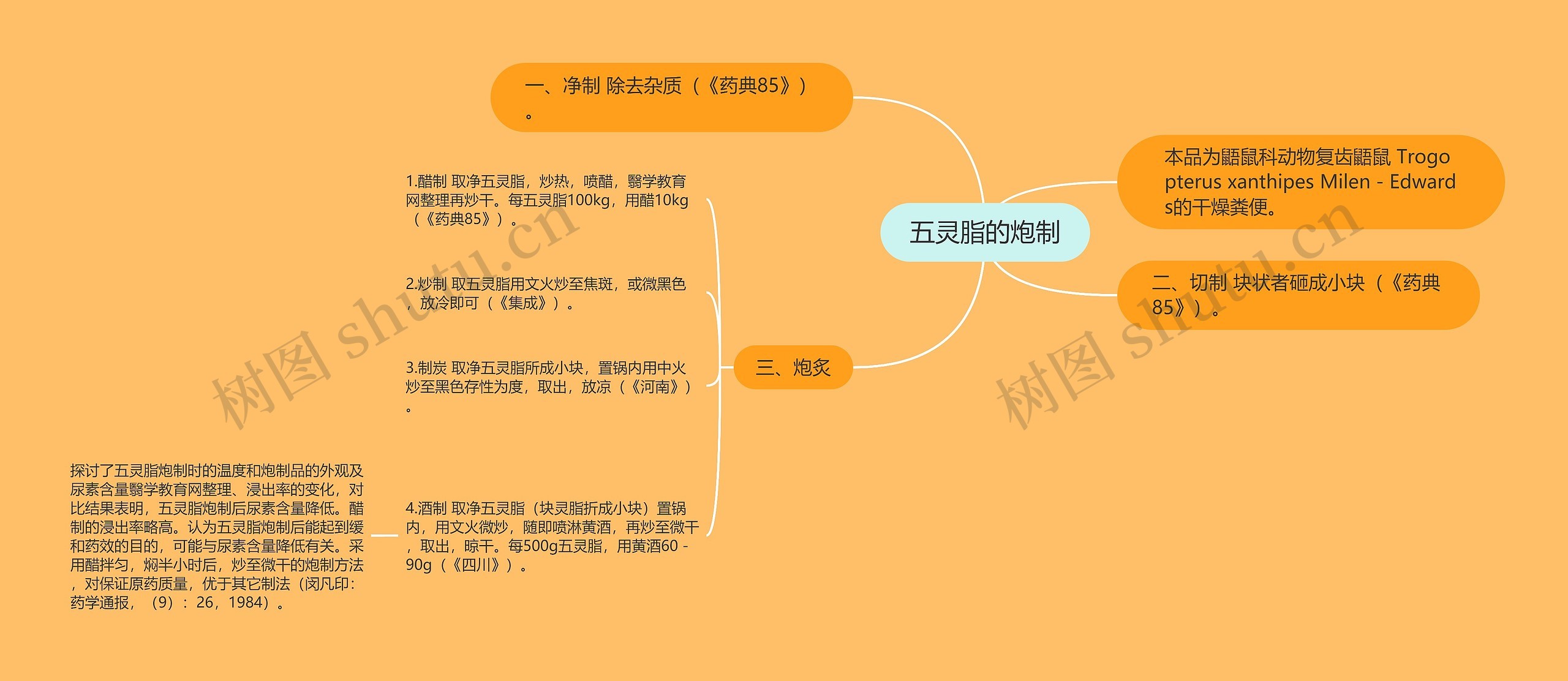 五灵脂的炮制思维导图