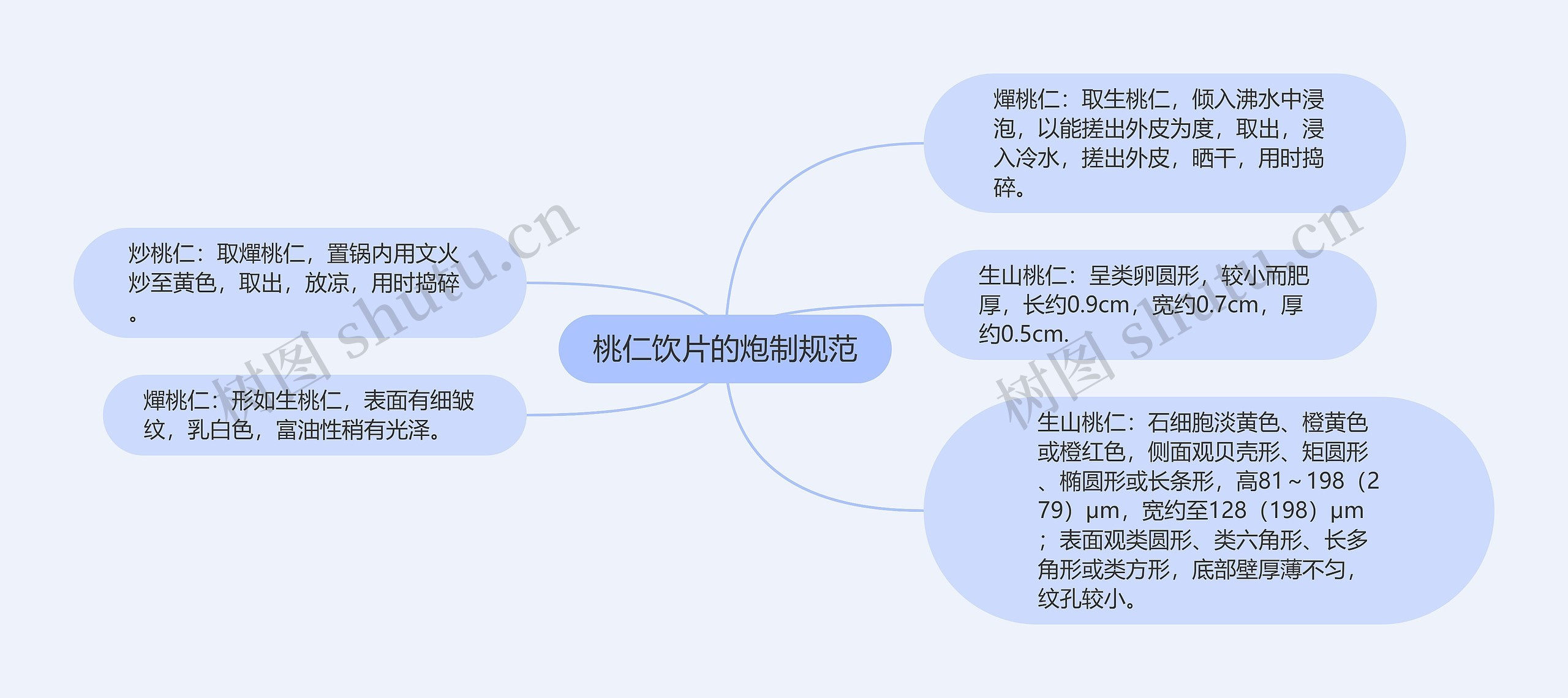 桃仁饮片的炮制规范思维导图