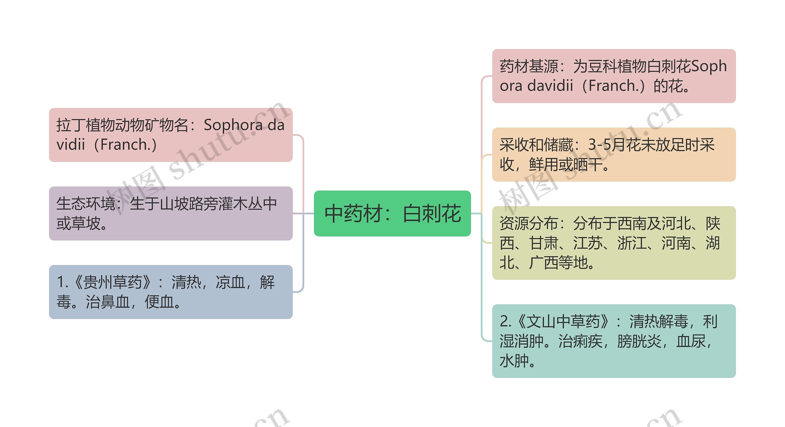 中药材：白刺花思维导图