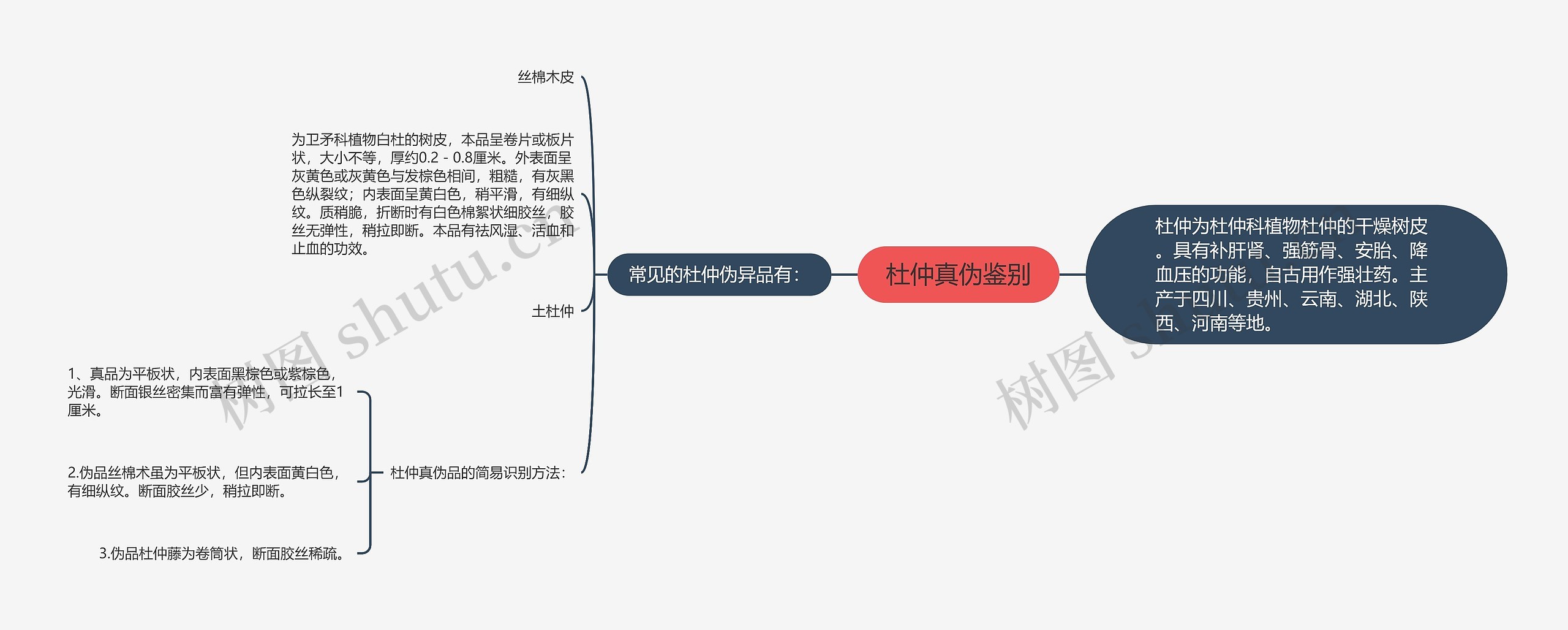 杜仲真伪鉴别思维导图