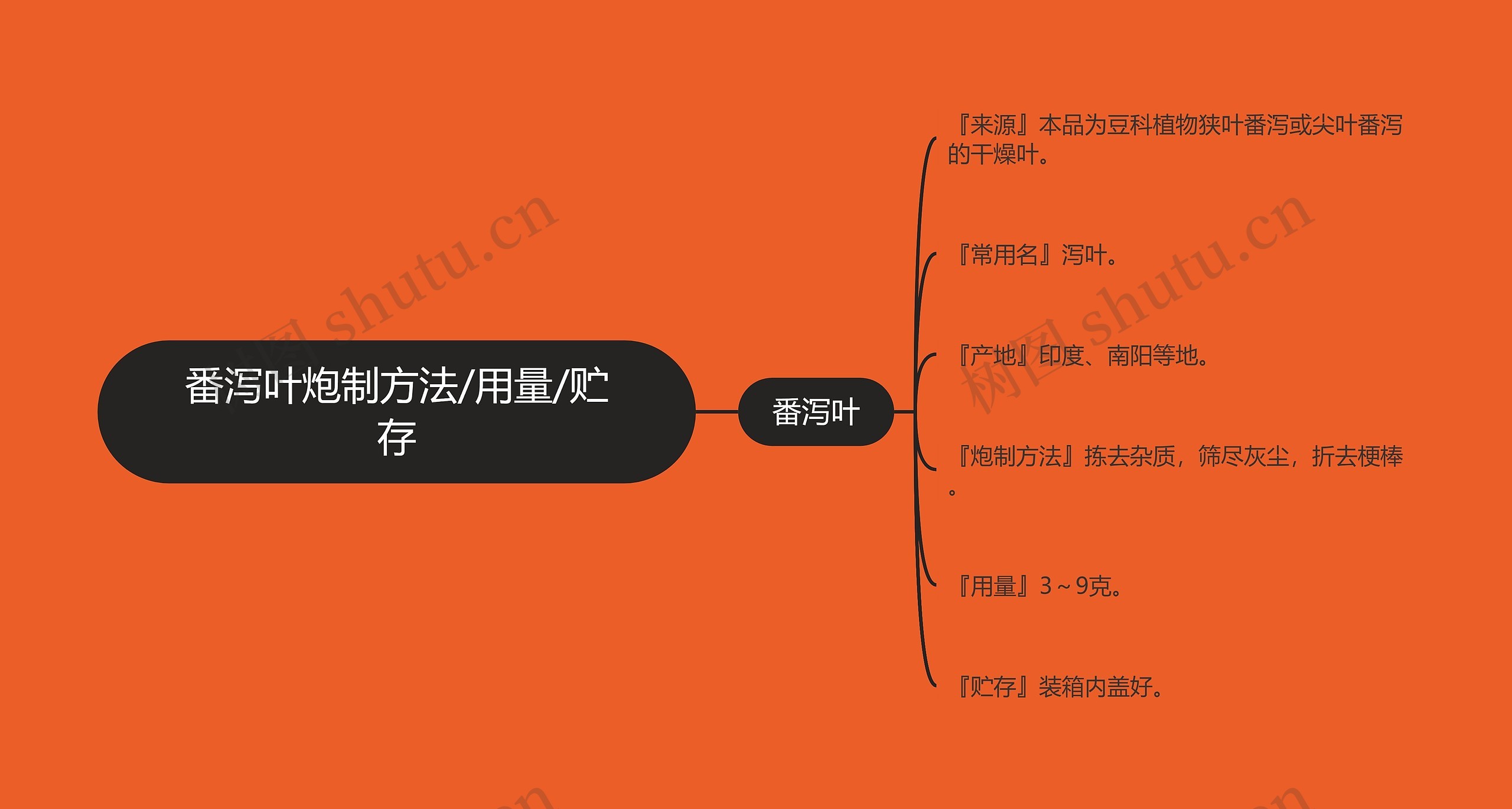 番泻叶炮制方法/用量/贮存思维导图