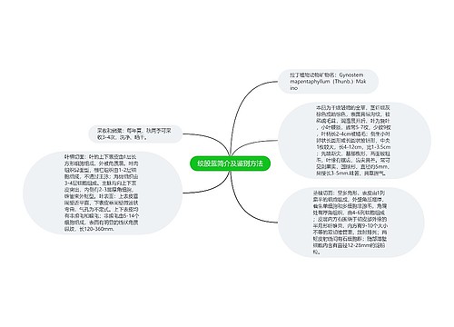 绞股蓝简介及鉴别方法