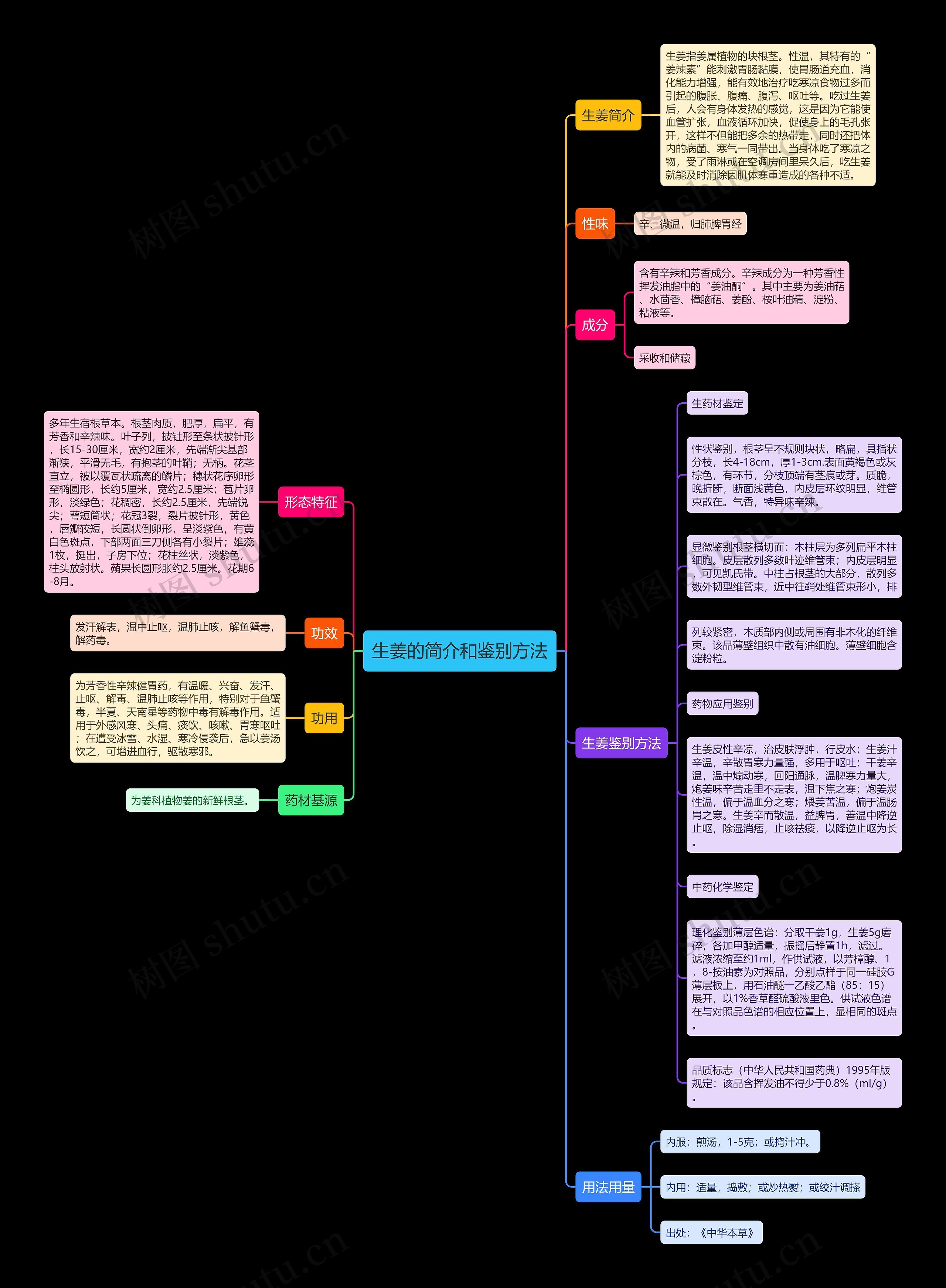 生姜的简介和鉴别方法思维导图高清图 生姜的简介和鉴别方法思维导图