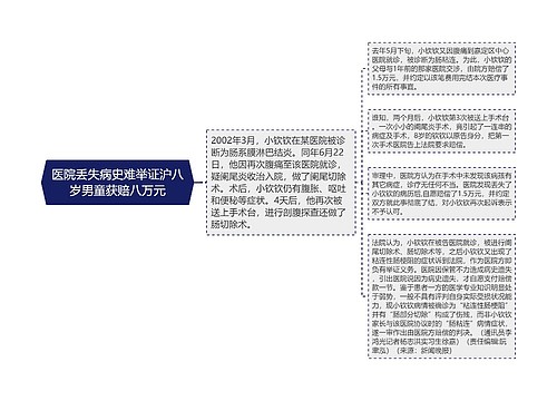 医院丢失病史难举证沪八岁男童获赔八万元