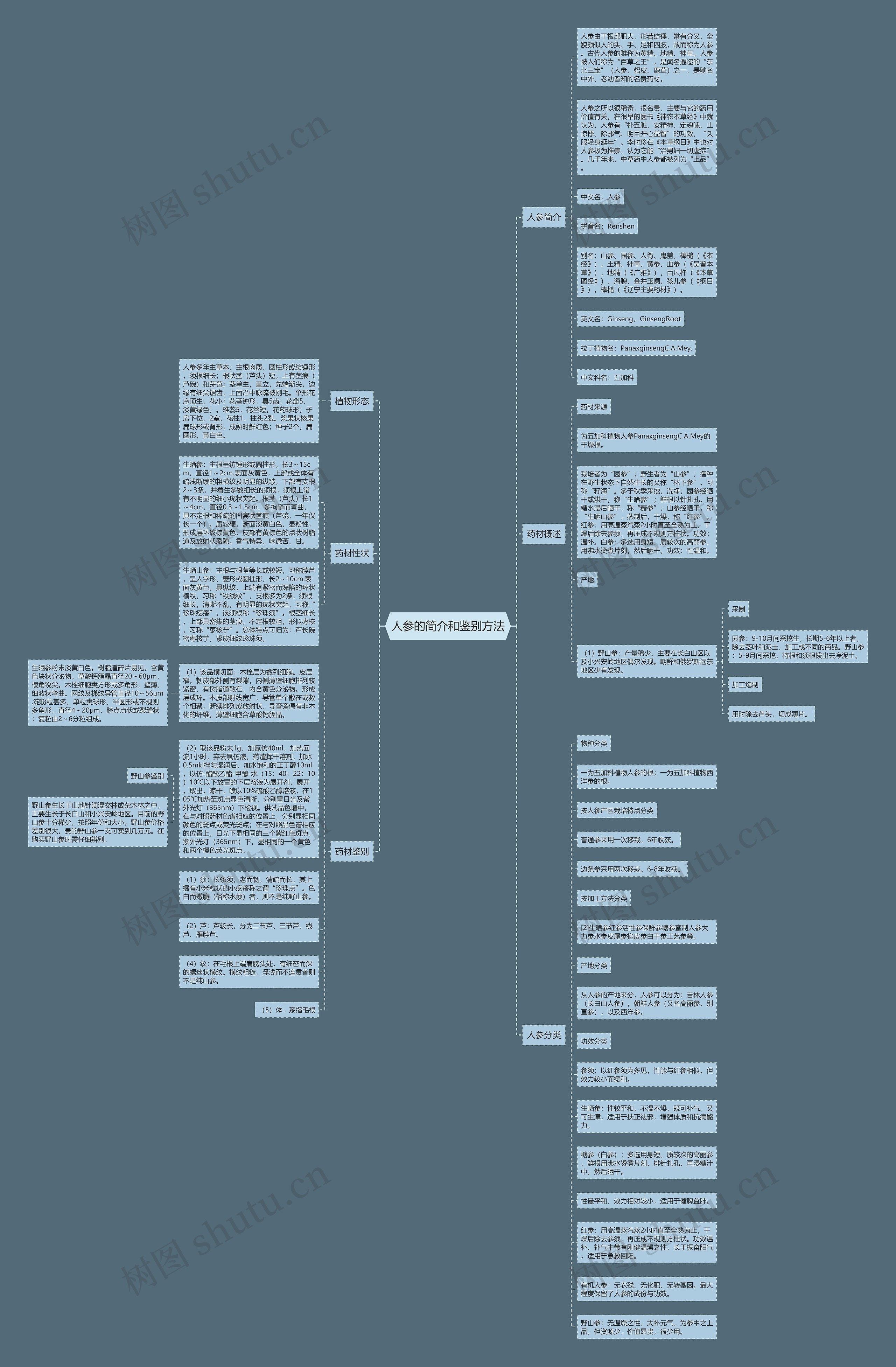人参的简介和鉴别方法思维导图