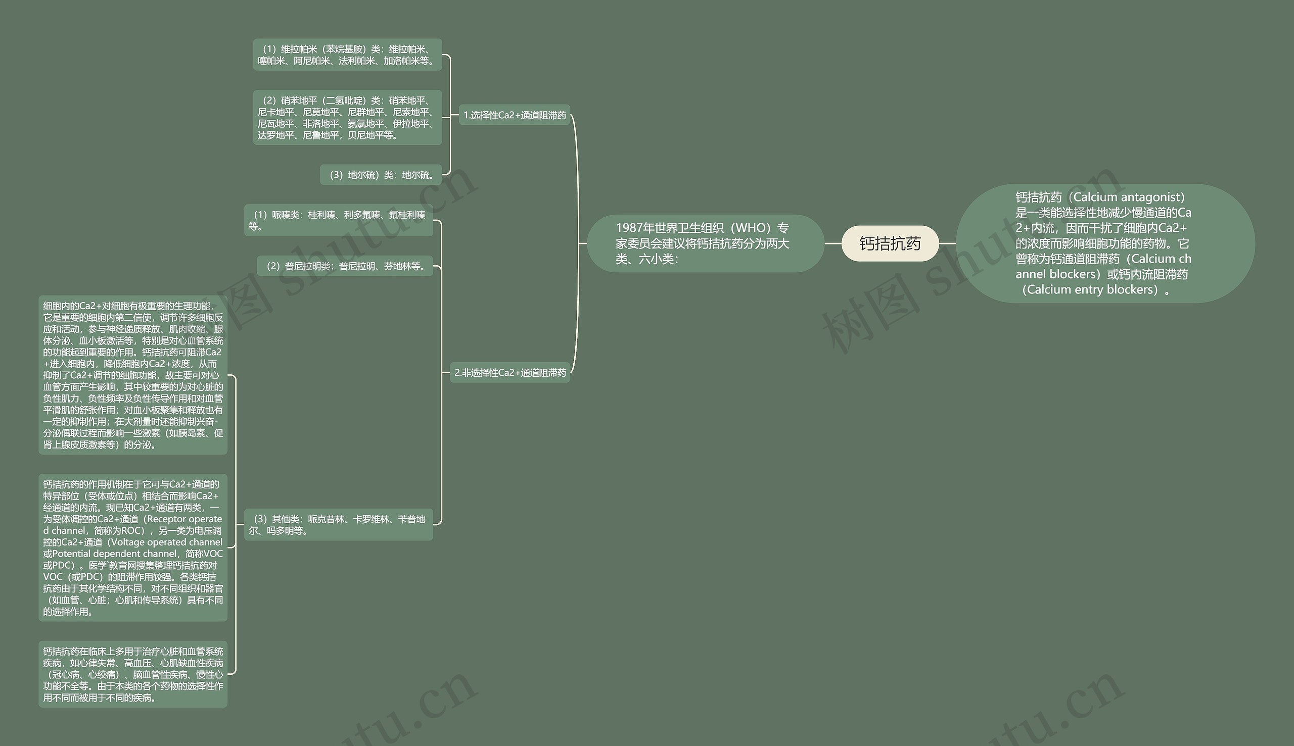 钙拮抗药 钙拮抗药