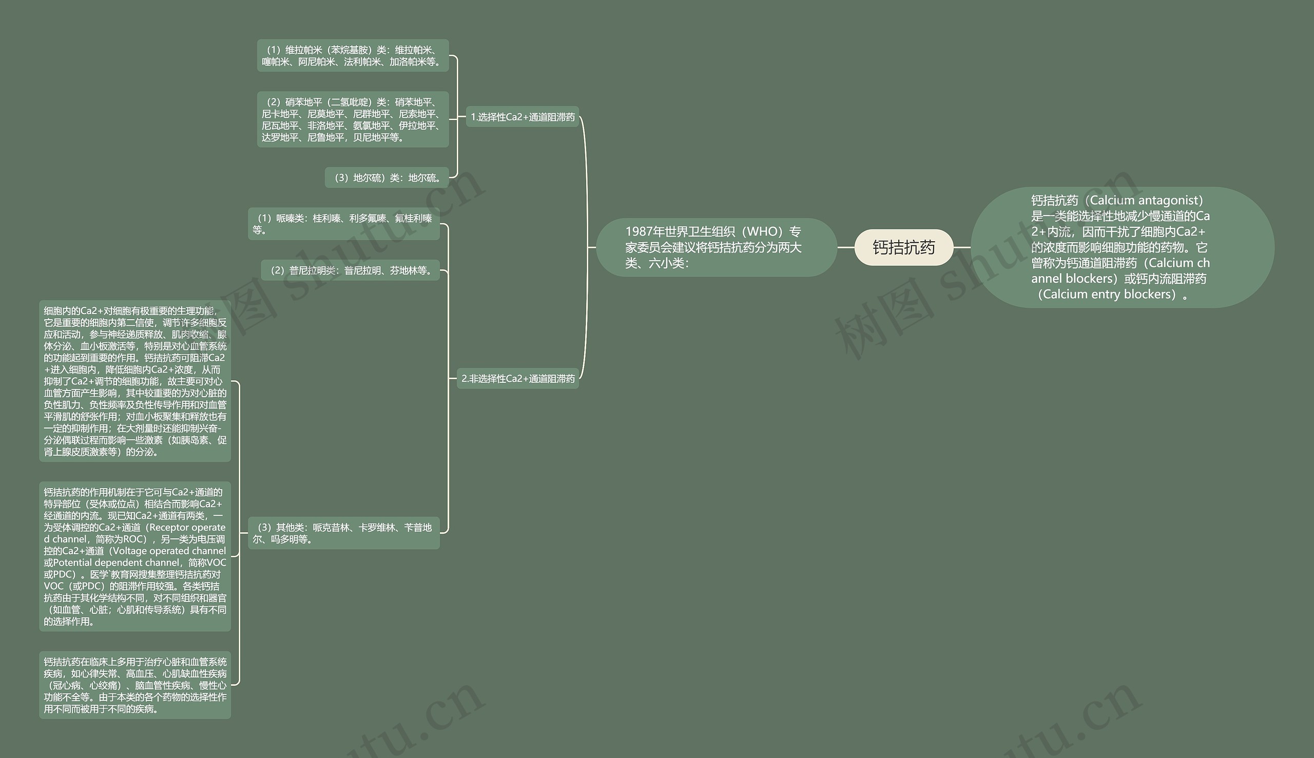 钙拮抗药思维导图